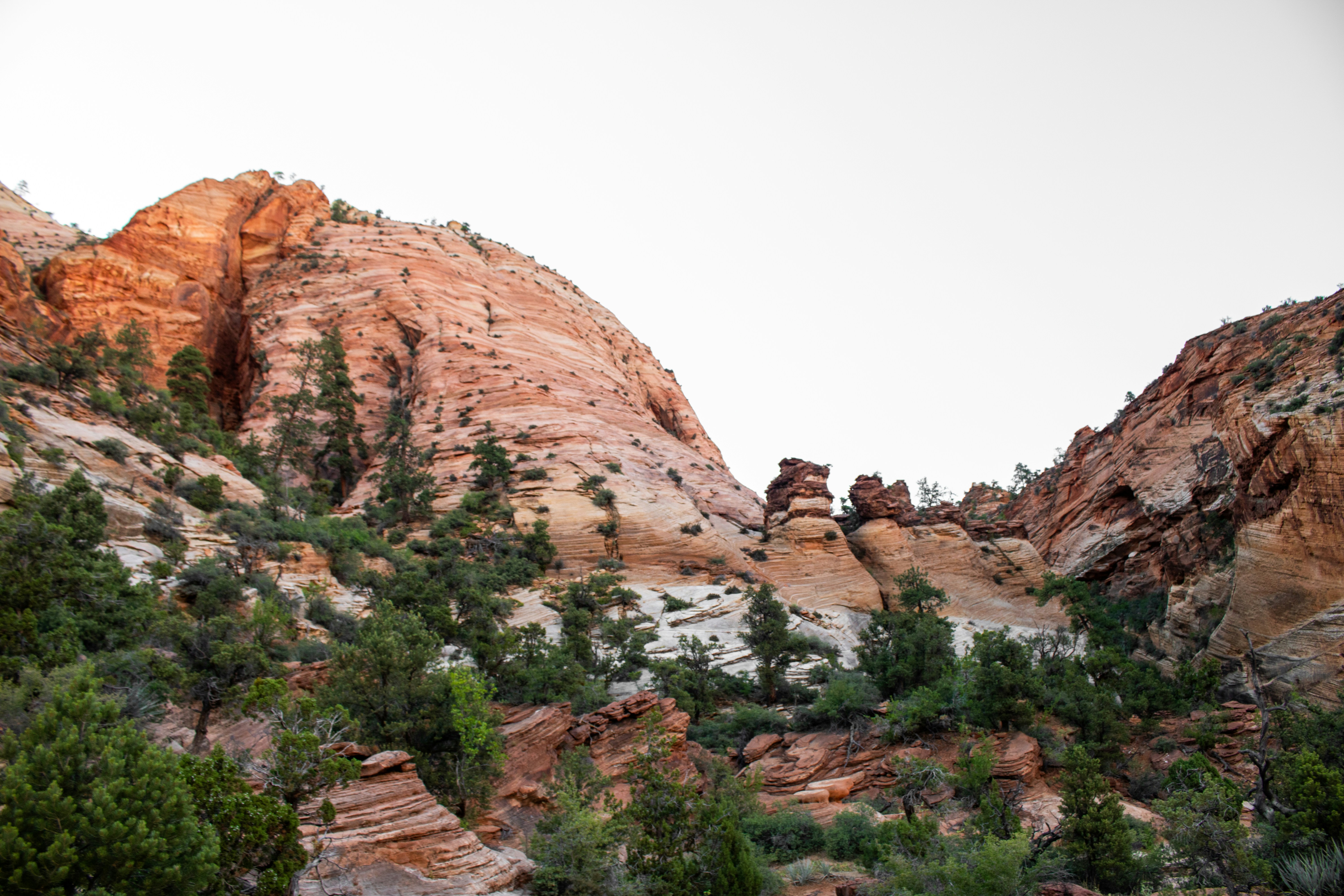 Photo by zoshuacolah