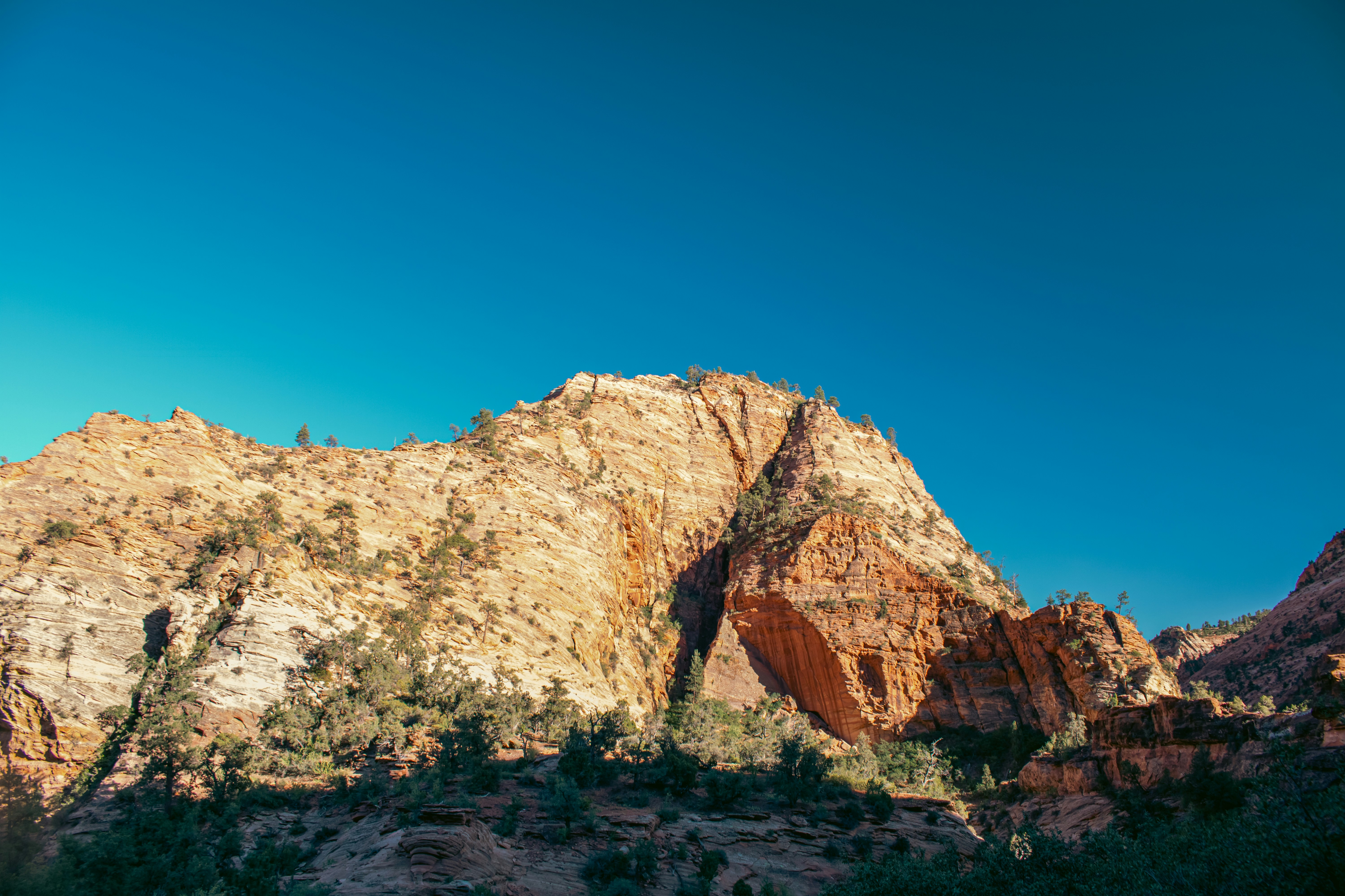 Photo by zoshuacolah