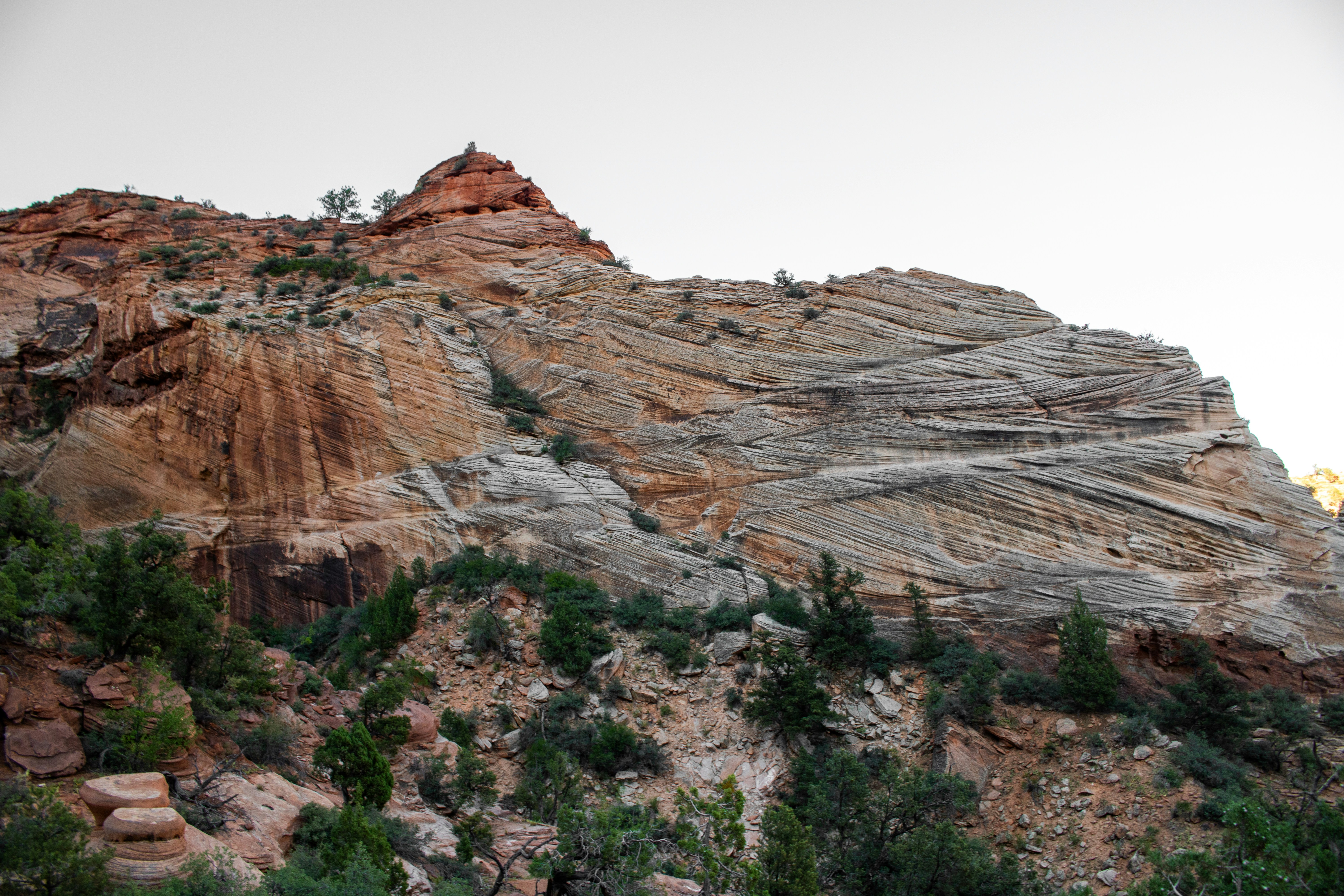 Photo by zoshuacolah