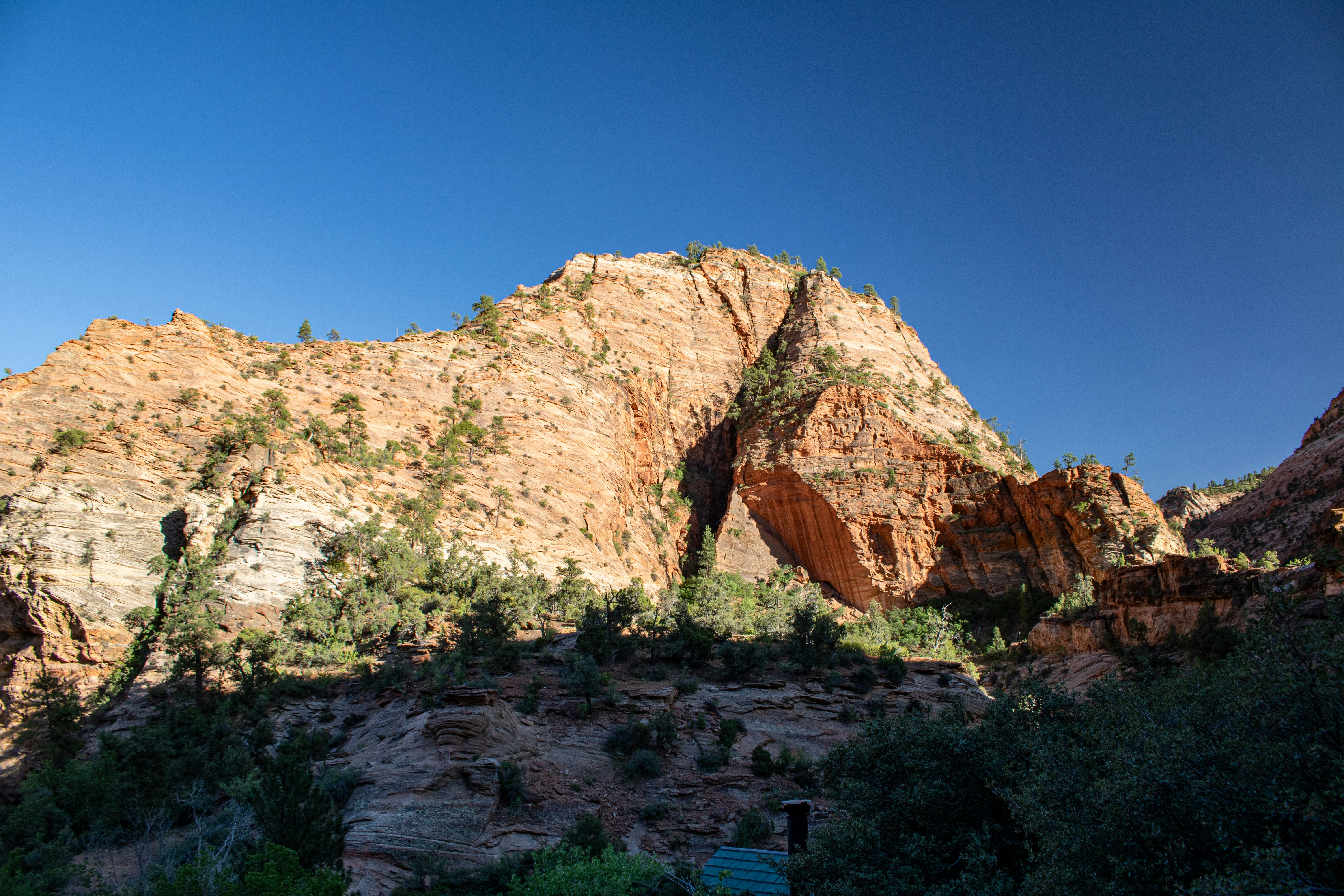 Photo by zoshuacolah