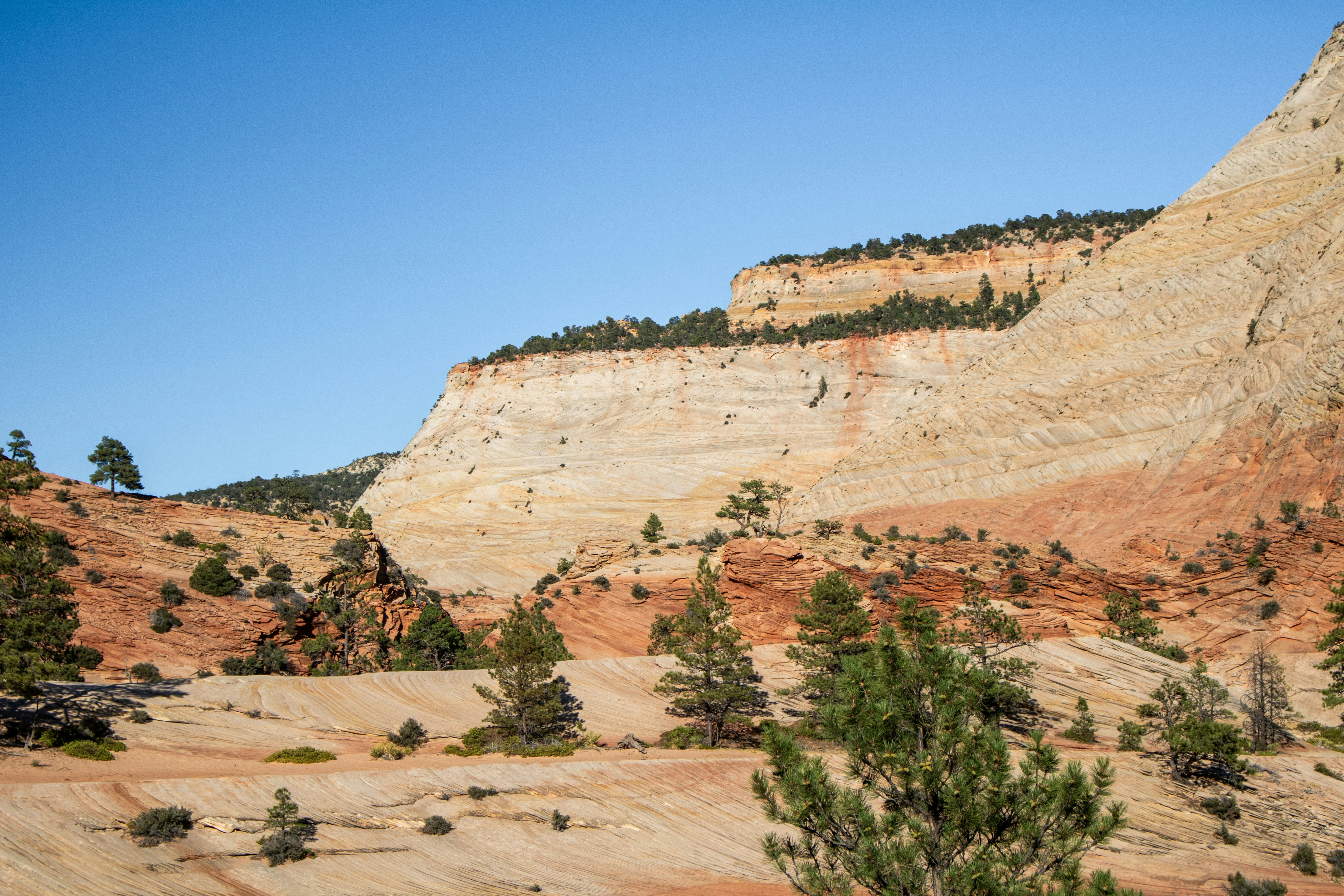 Photo by zoshuacolah