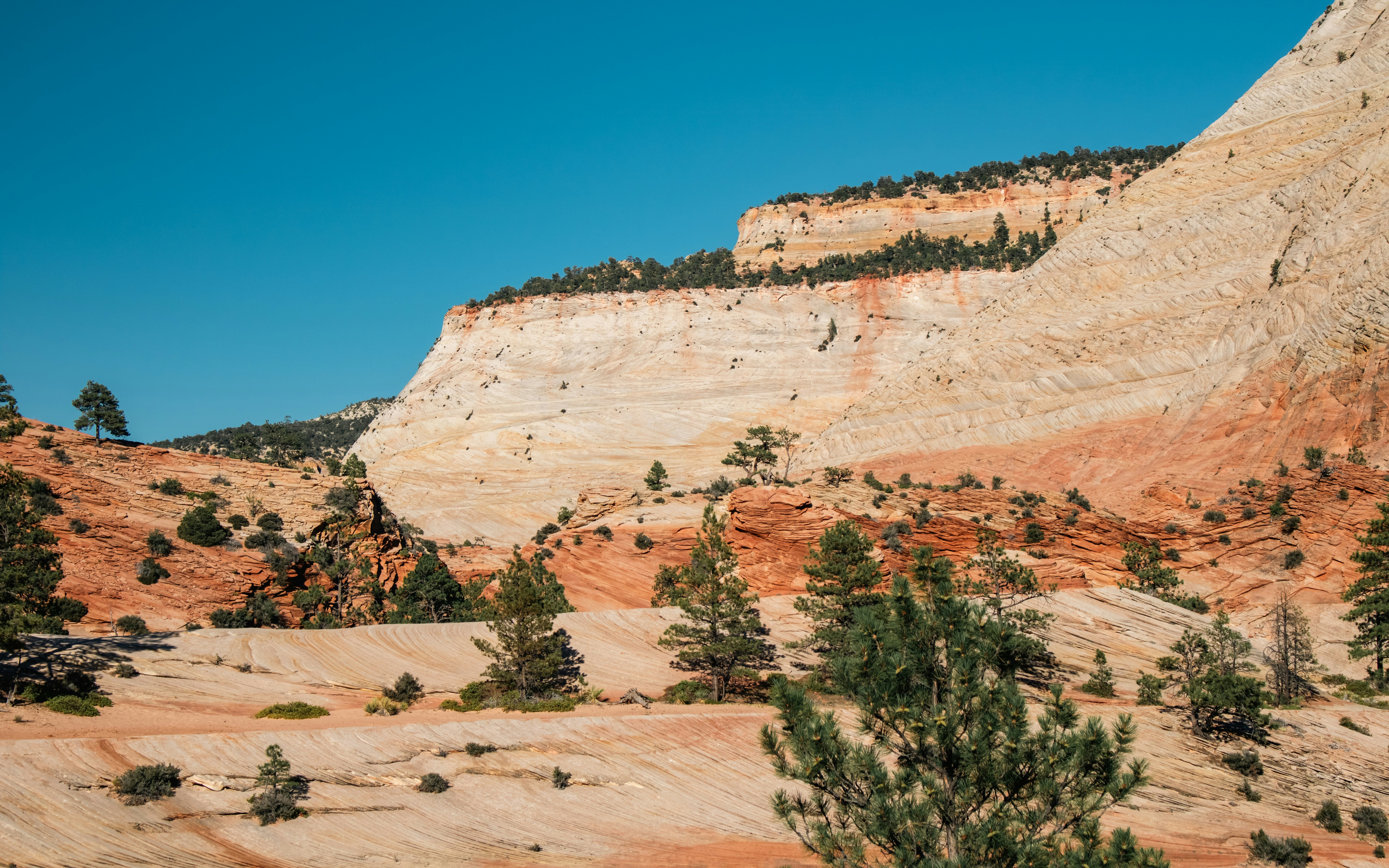 Photo by zoshuacolah