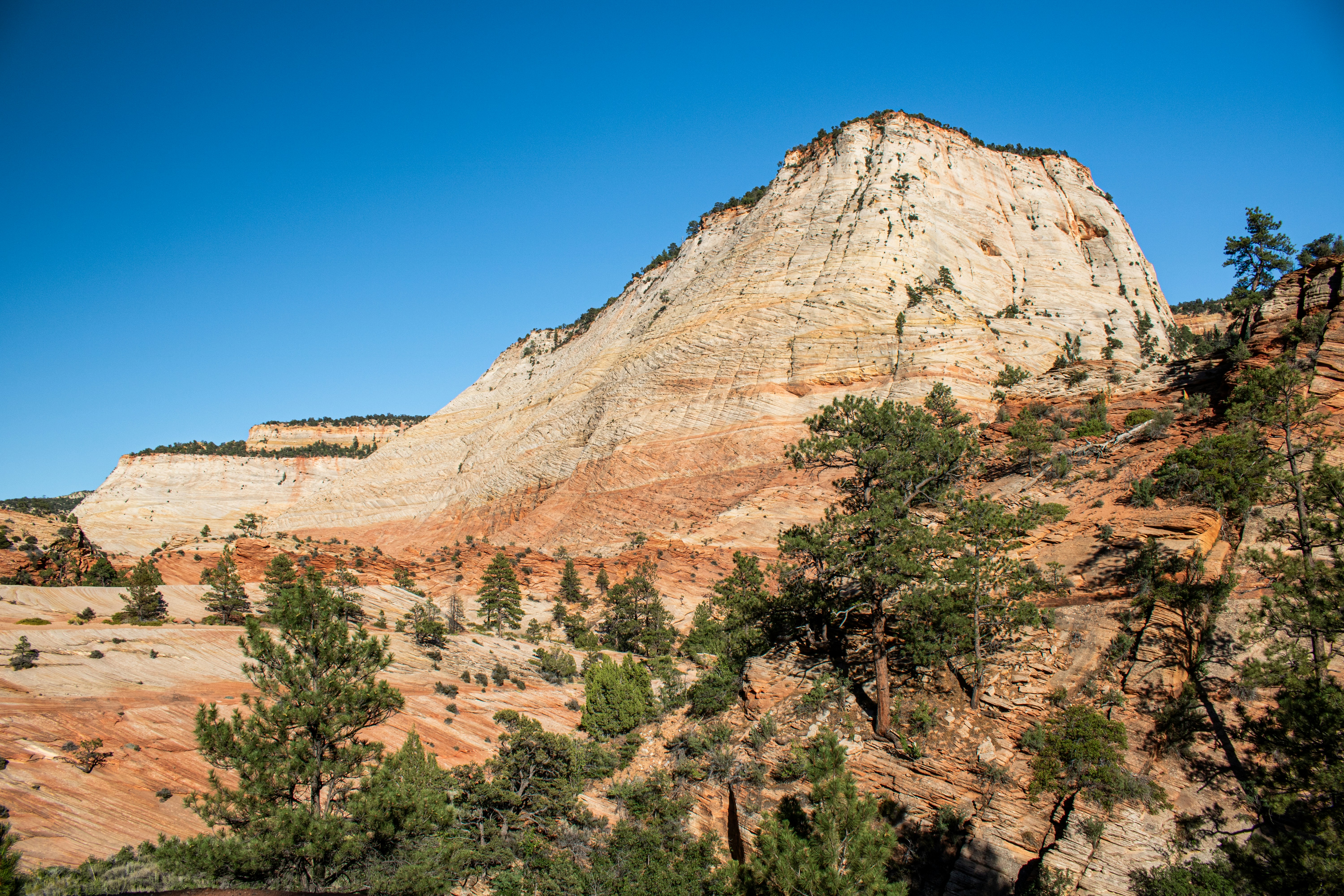 Photo by zoshuacolah