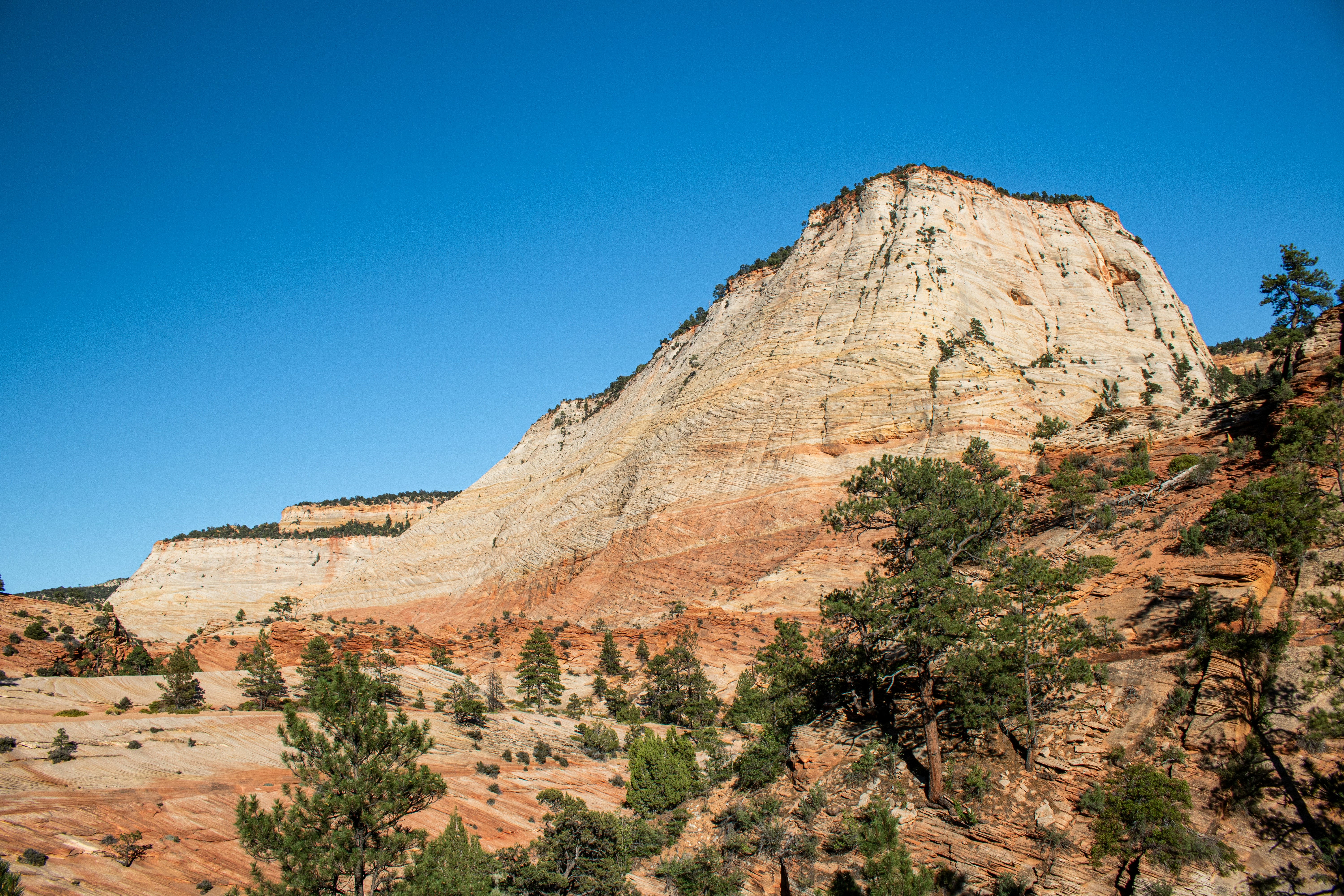 Photo by zoshuacolah