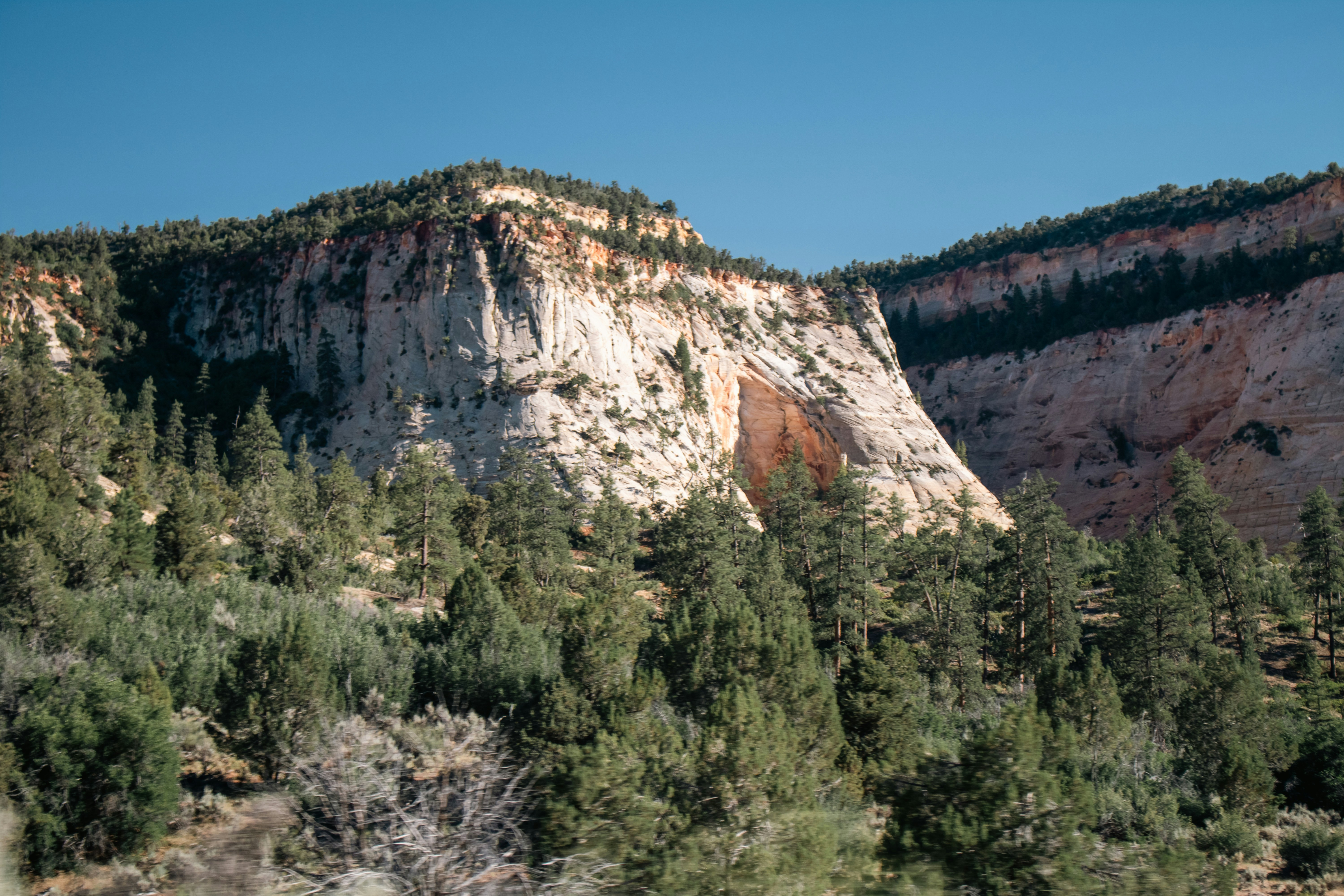 A view of a mountain with trees in the foreground, 