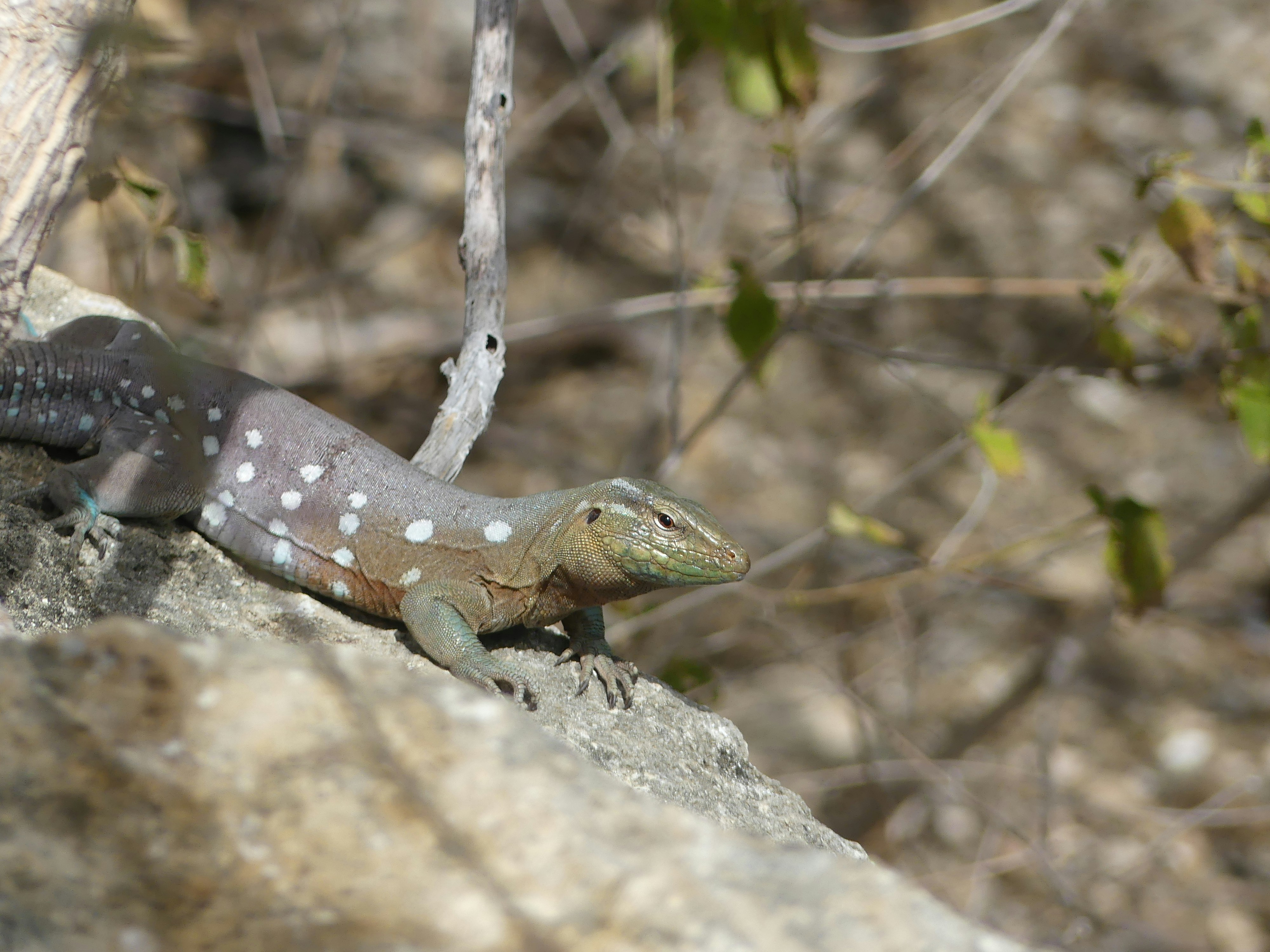 Photo by maarsenmedia