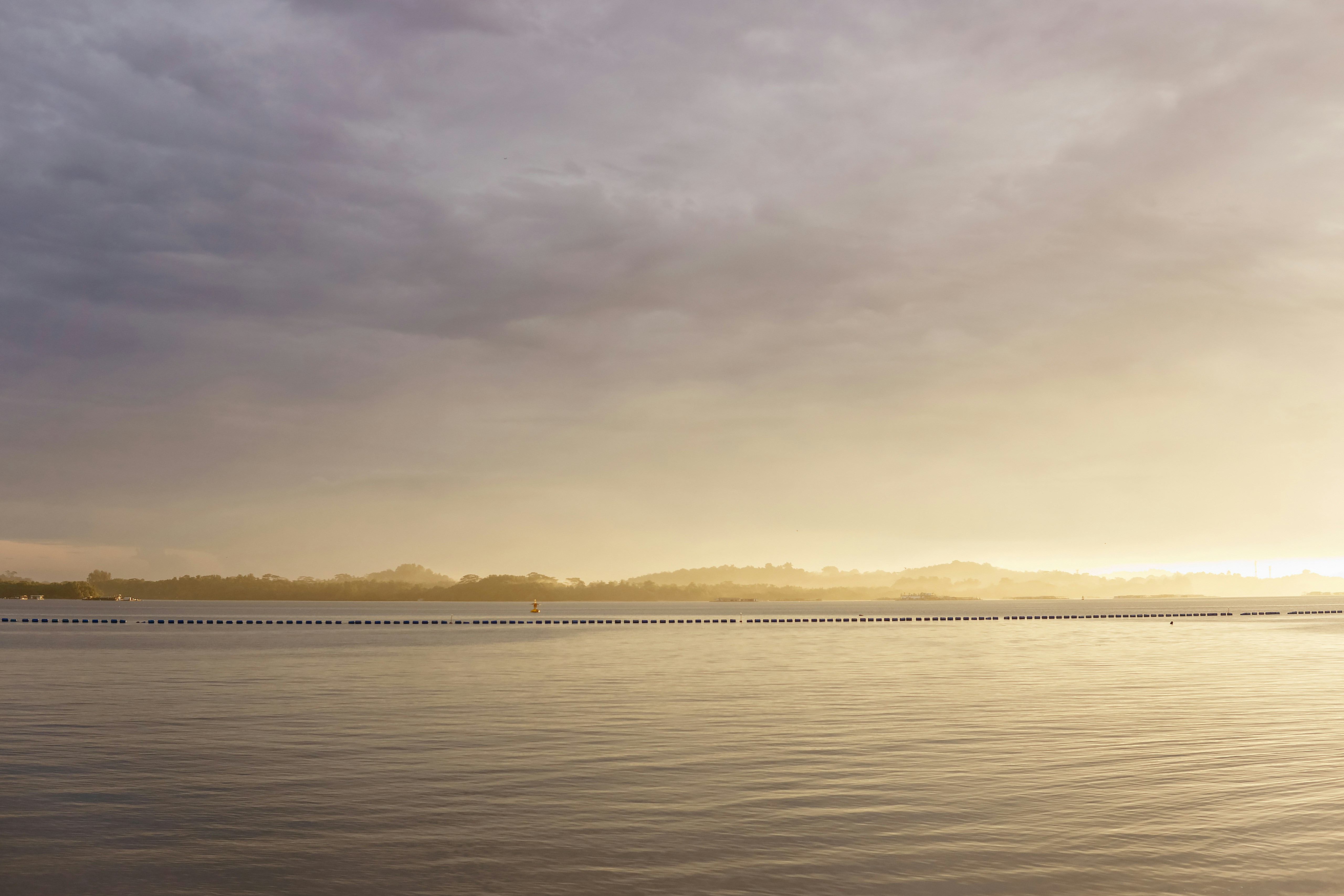 Photo by igorharrier