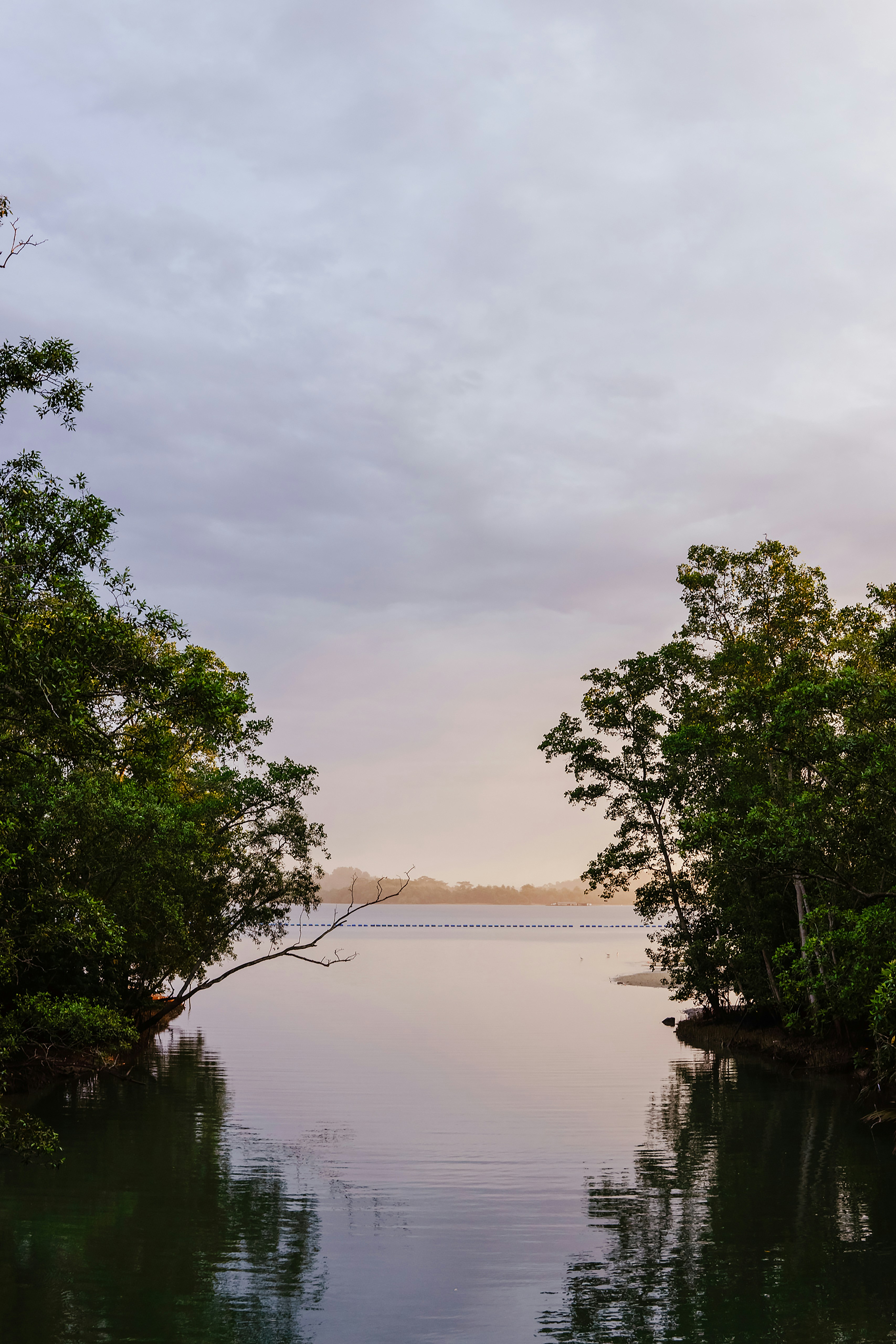 Photo by igorharrier