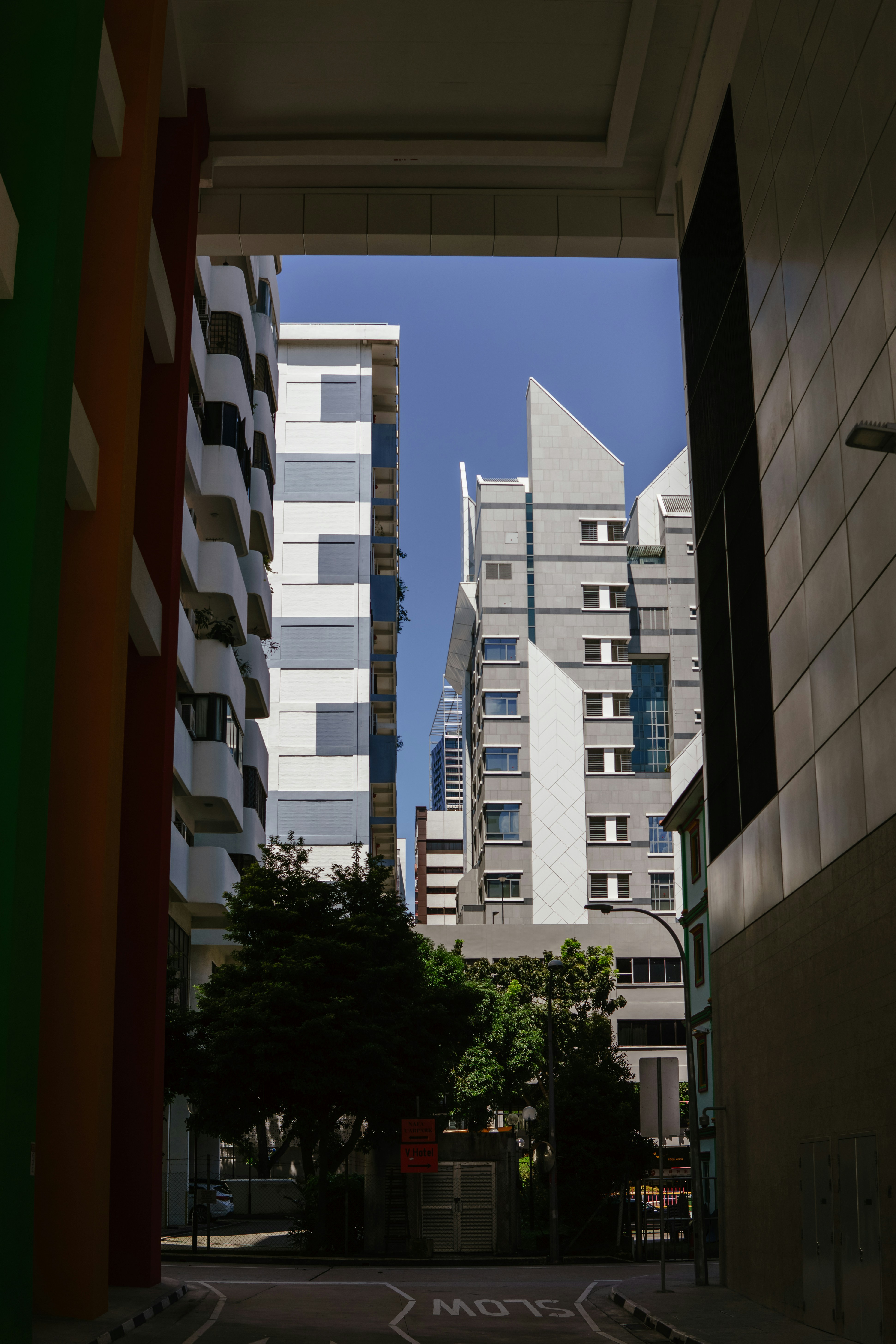 Photo by igorharrier