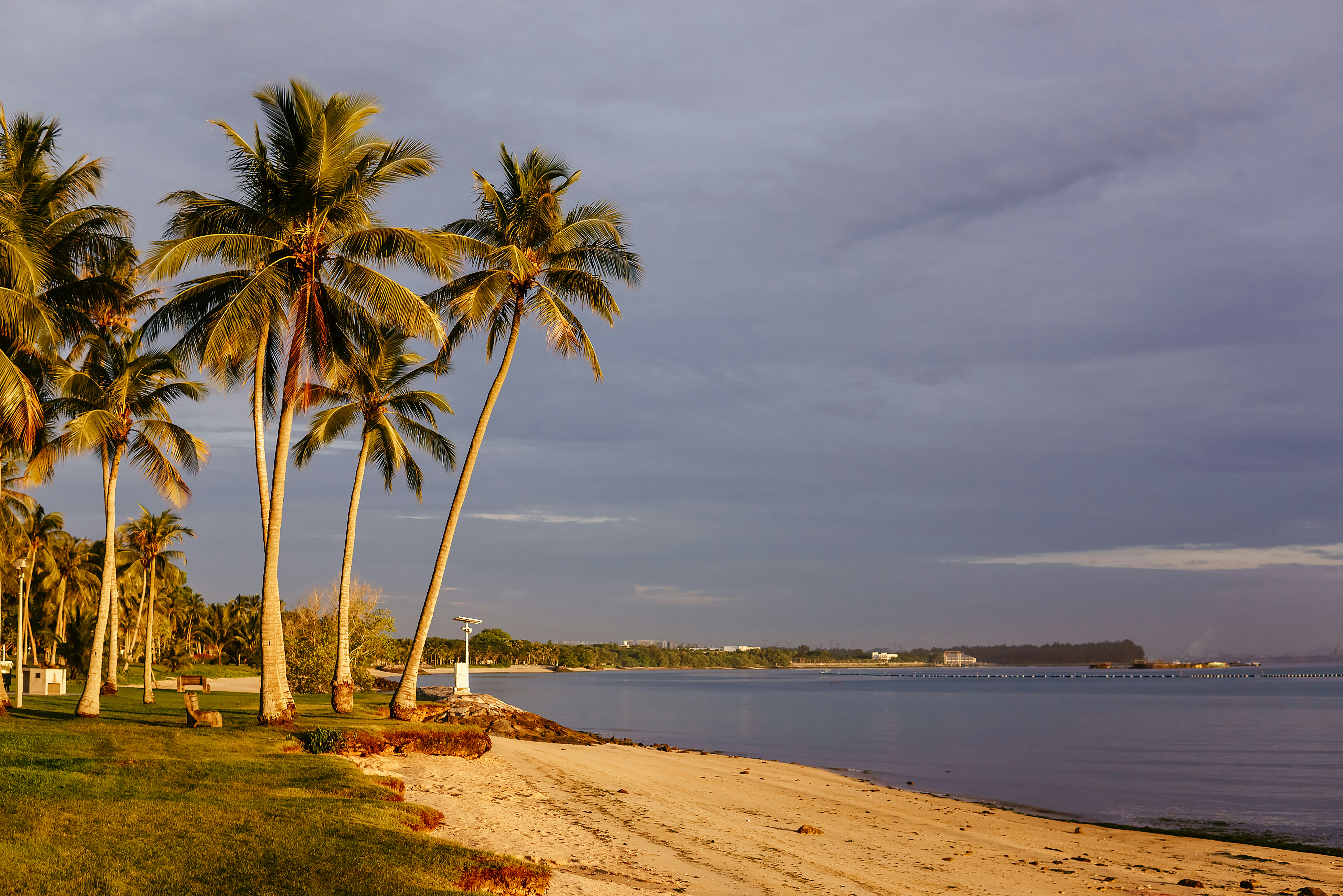 Photo by igorharrier