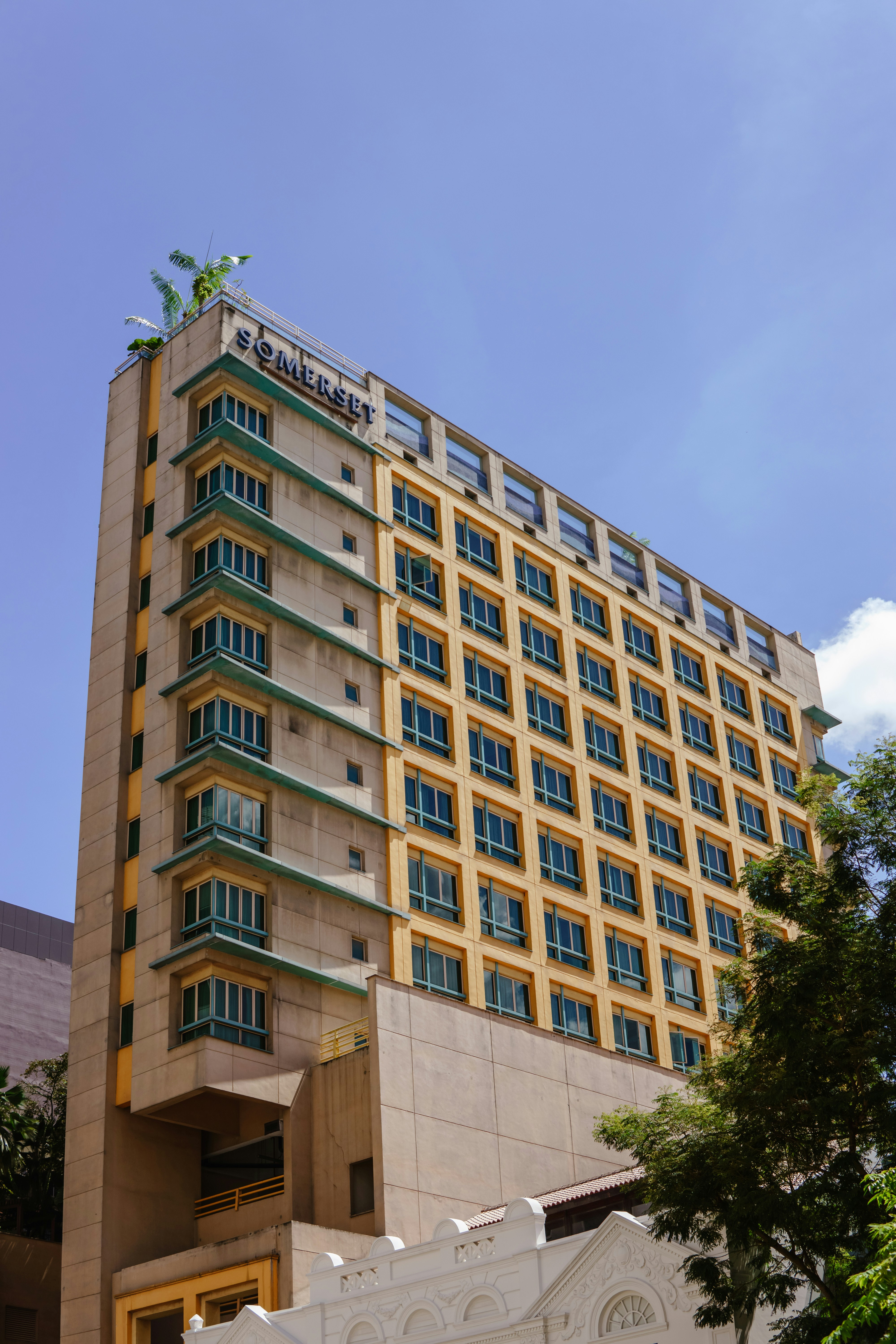 Photo by igorharrier