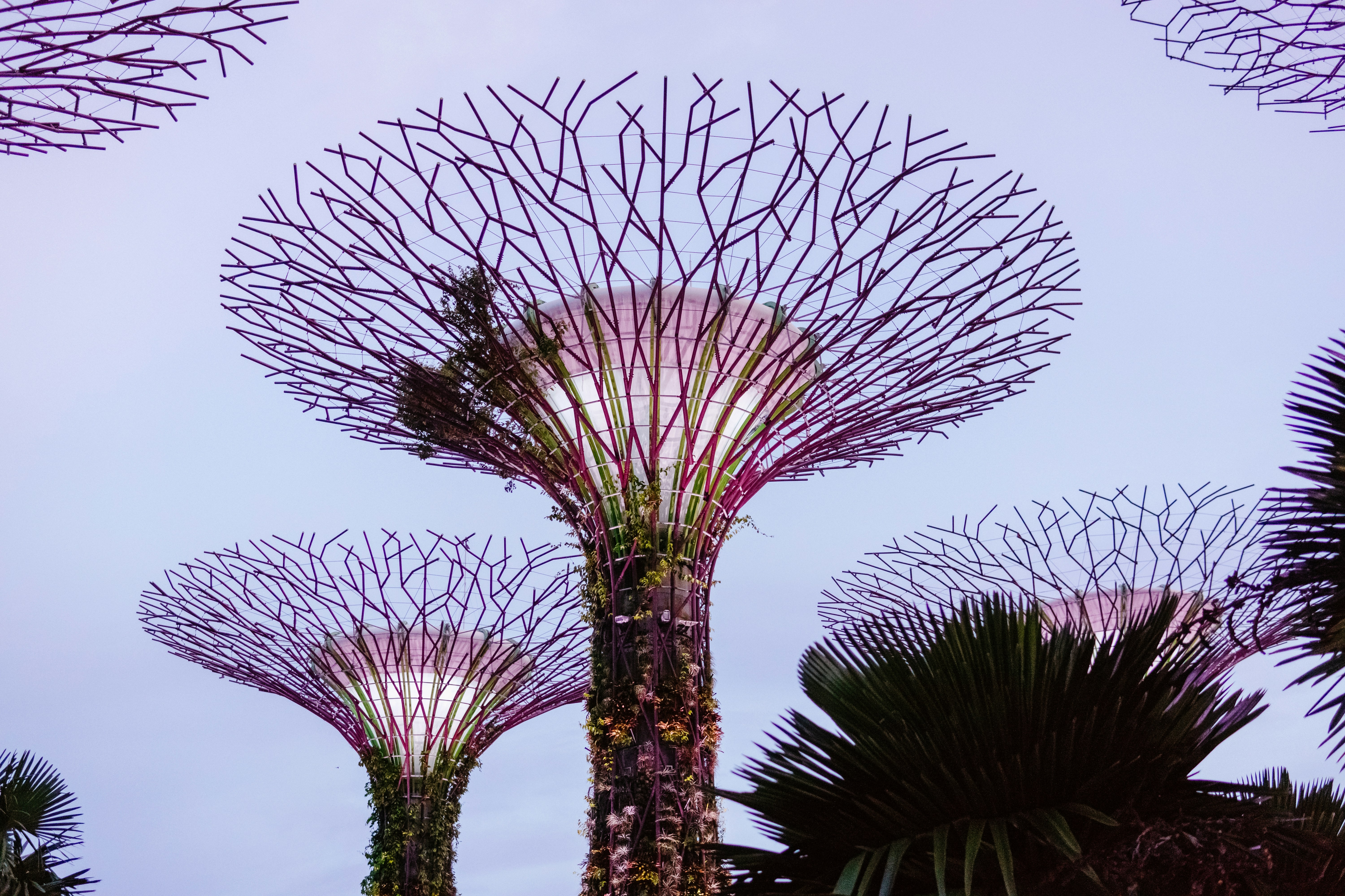 Photo by igorharrier