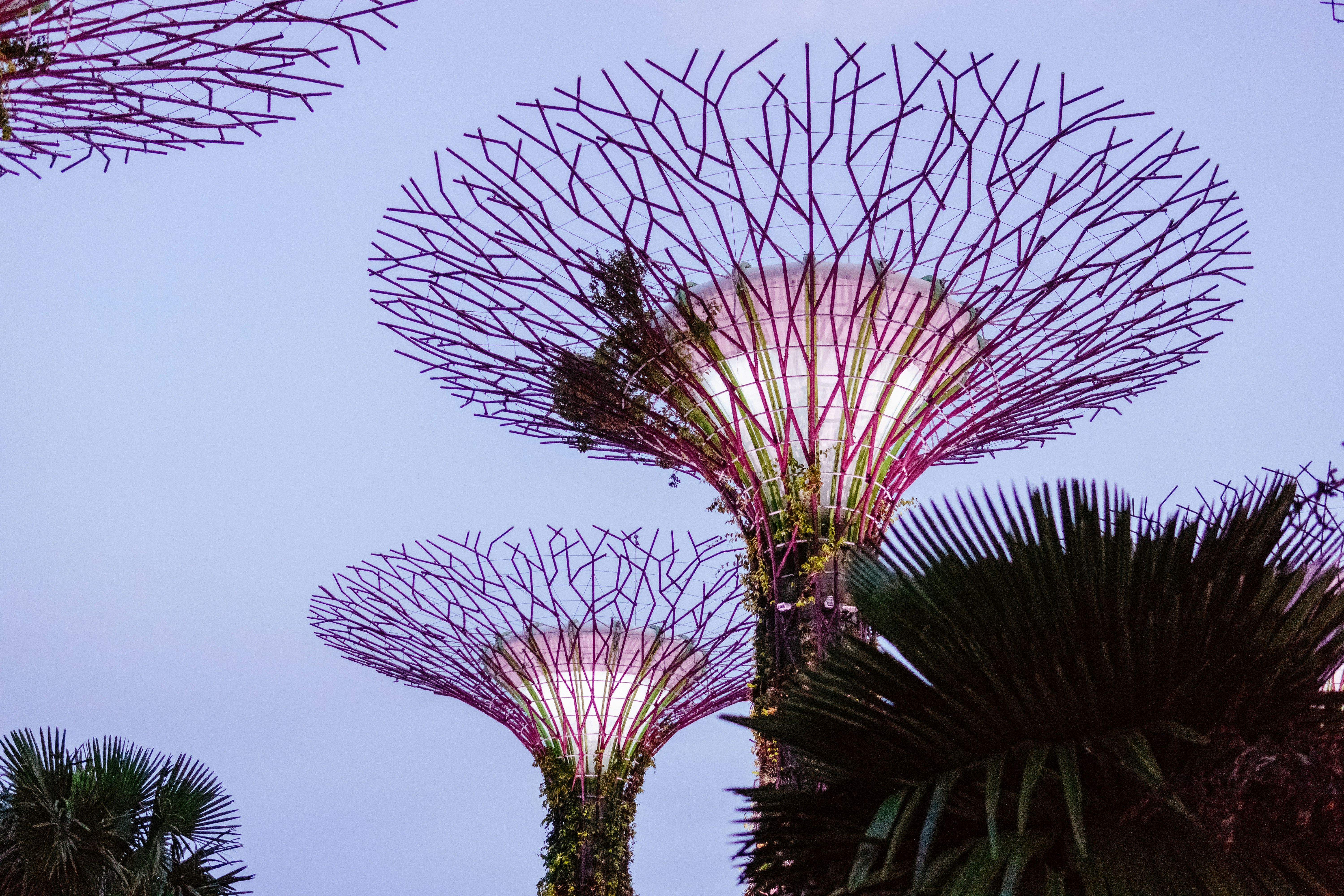 Photo by igorharrier