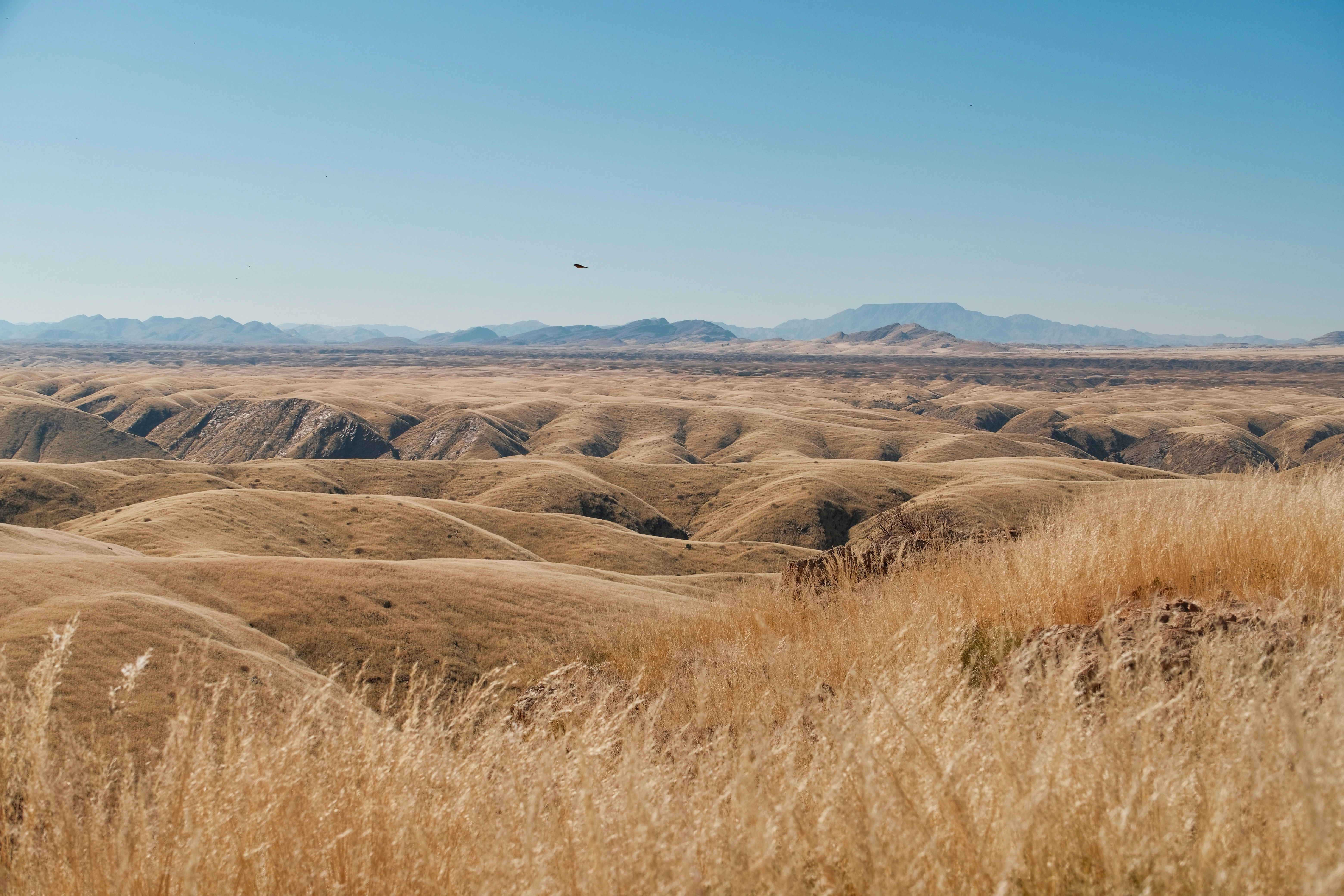 Photo by axelandhisjpegs