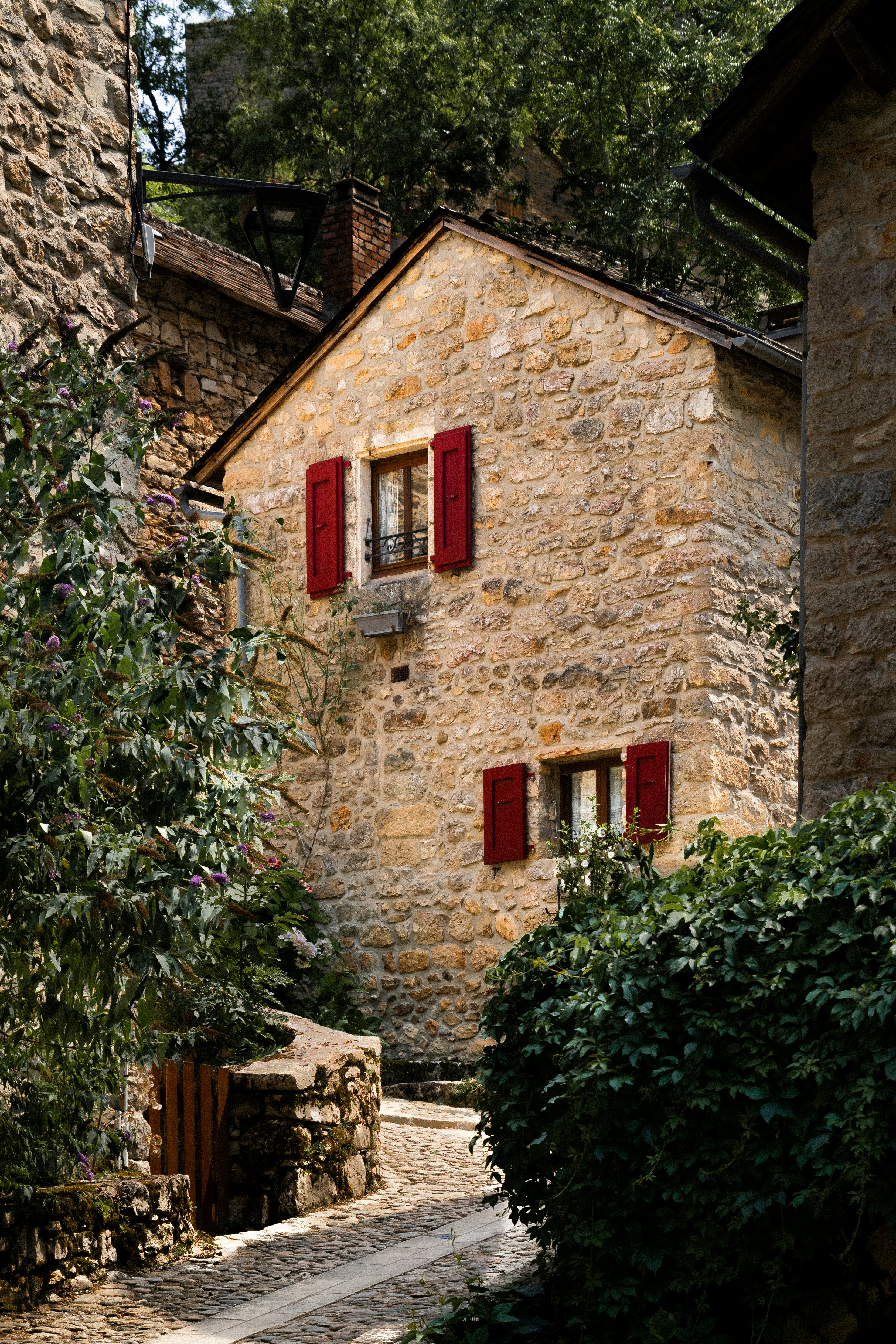 Photo by thimovanleeuwen