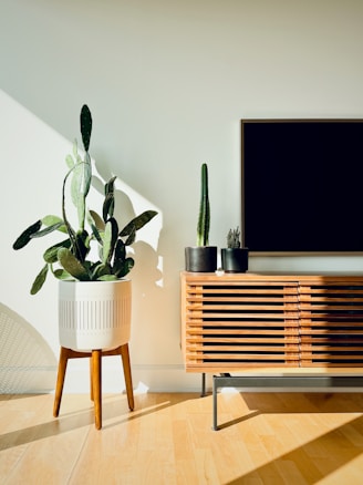 A television sitting on top of a wooden cabinet