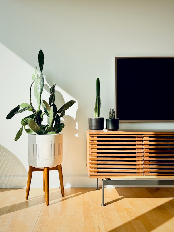 A television sitting on top of a wooden cabinet