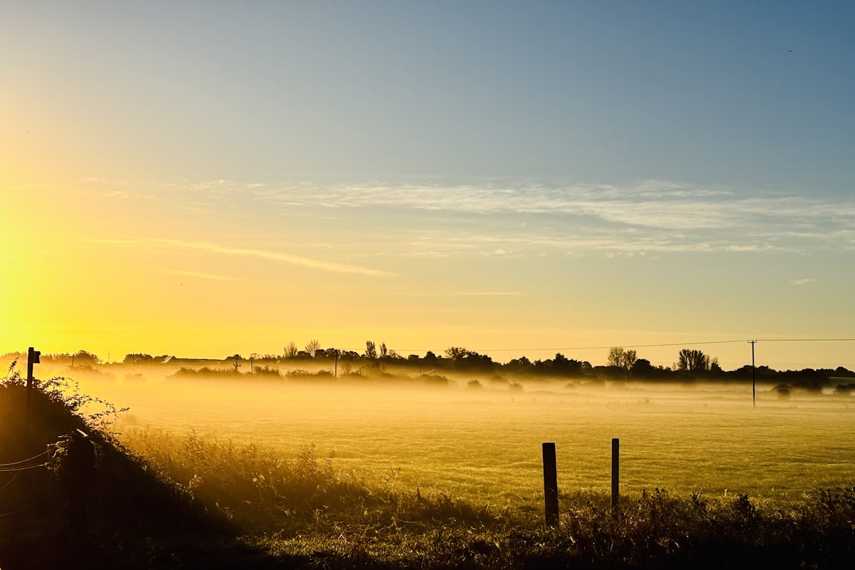 Wickhambreaux, Canterbury, Kent — sunset over fields