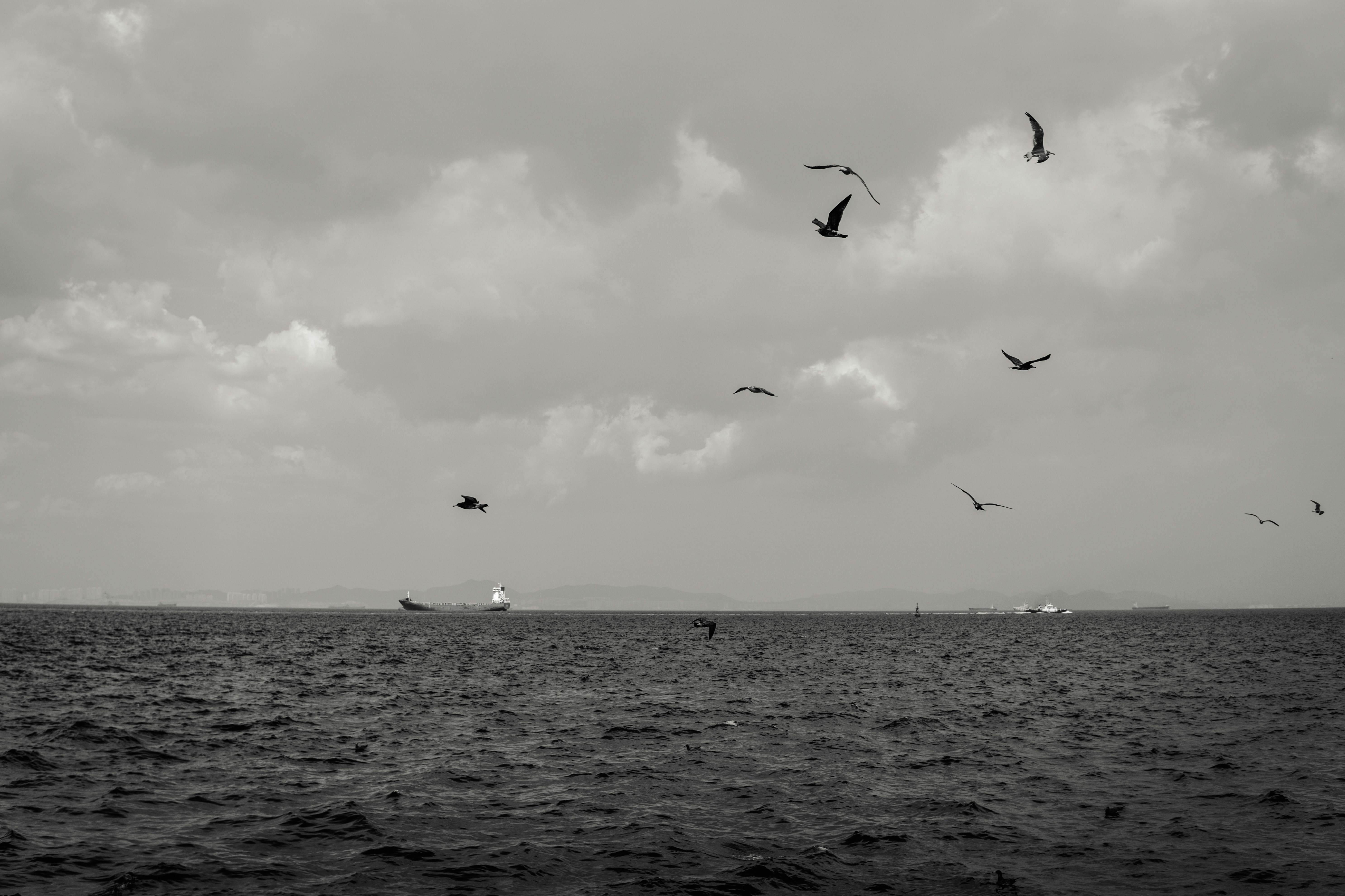 Photo by igorharrier