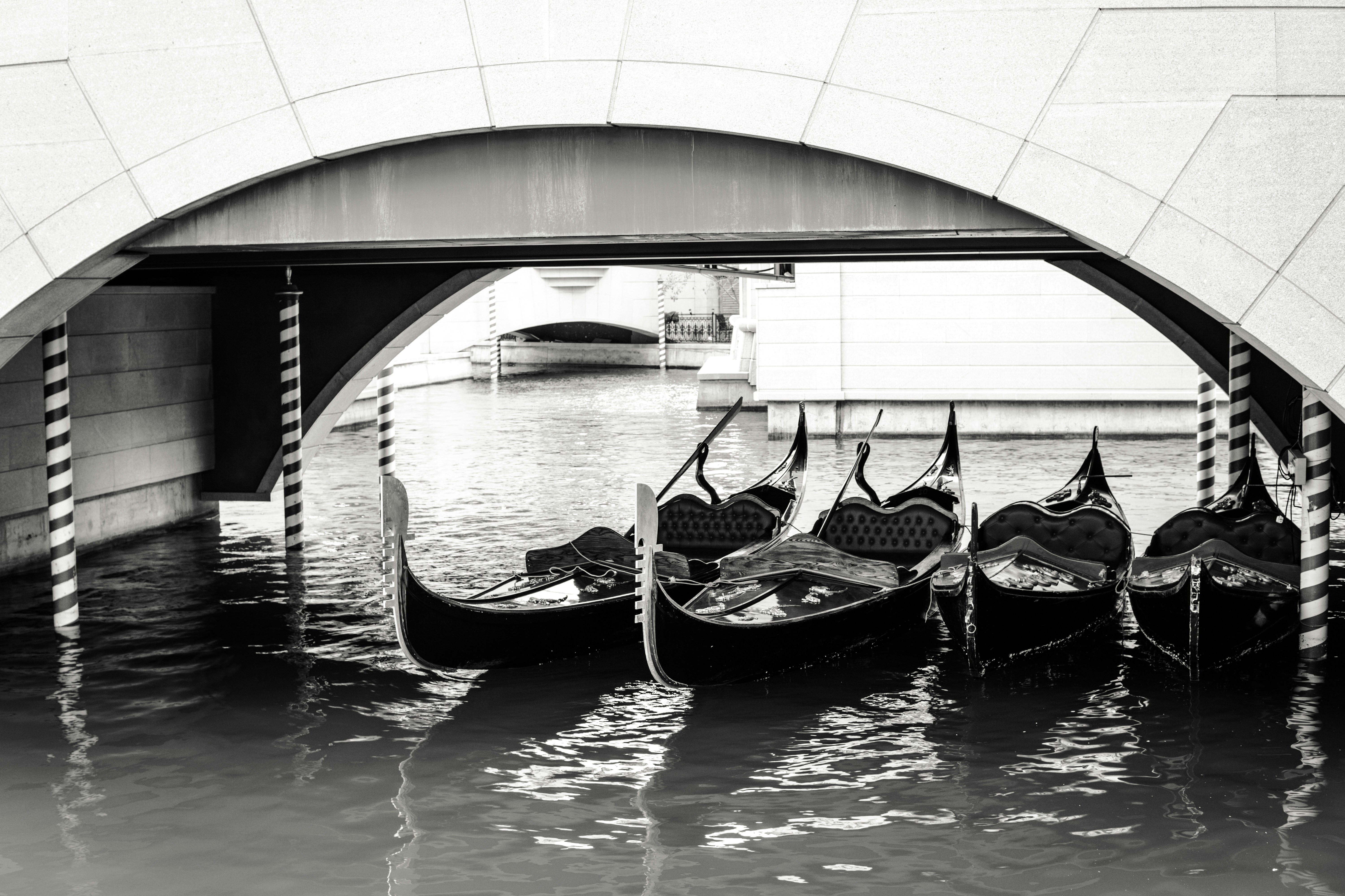 Photo by igorharrier