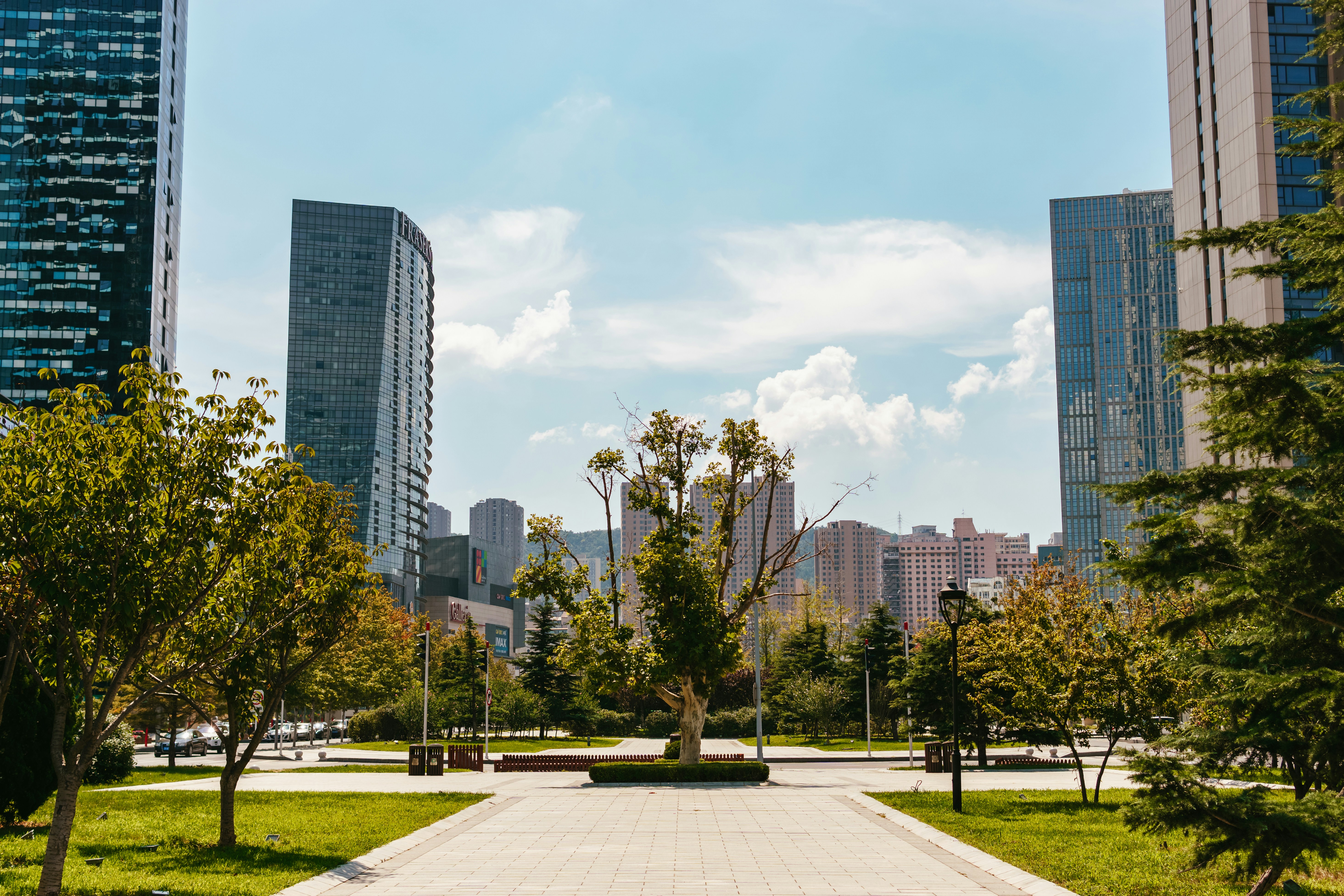 Photo by igorharrier