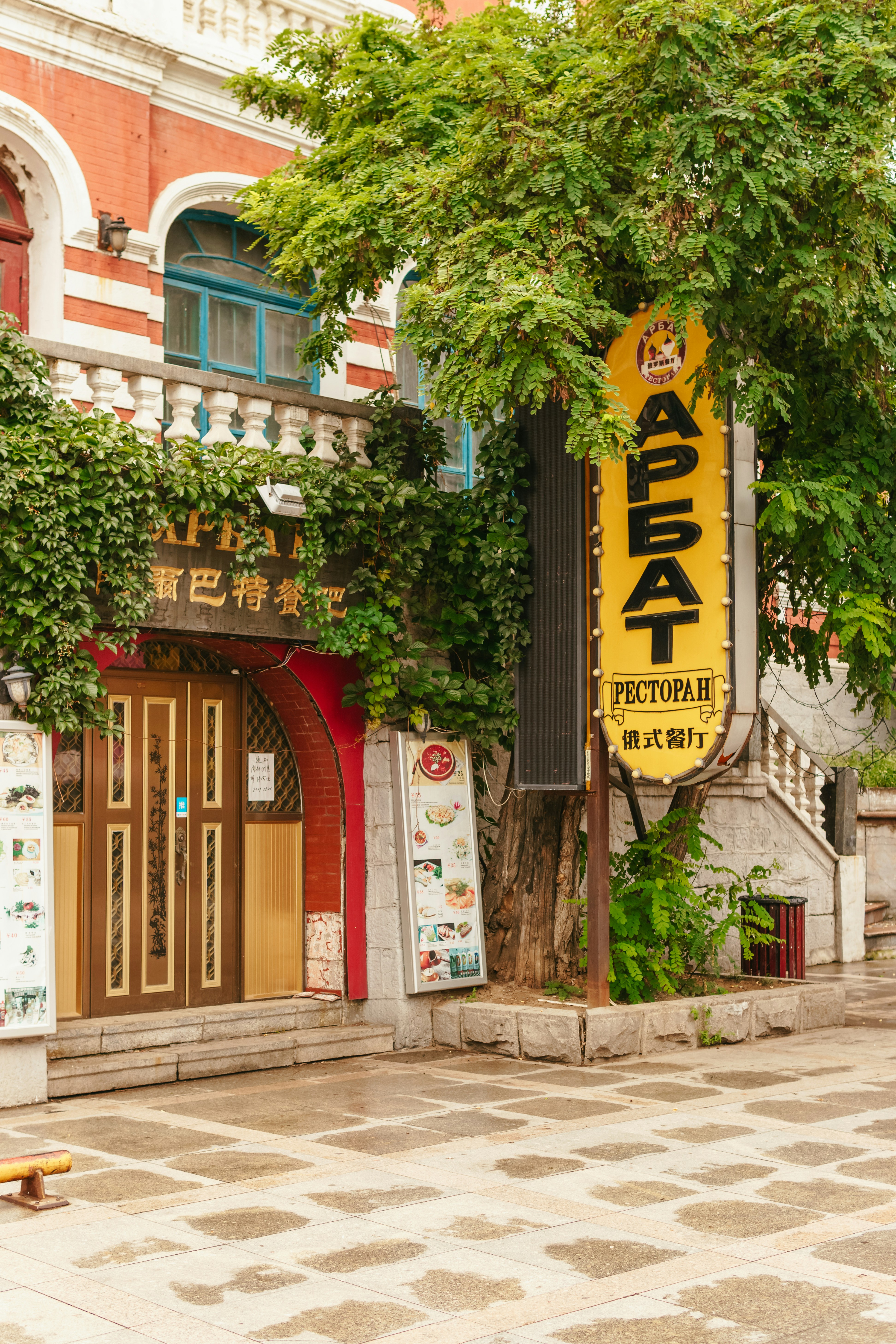 Photo by igorharrier