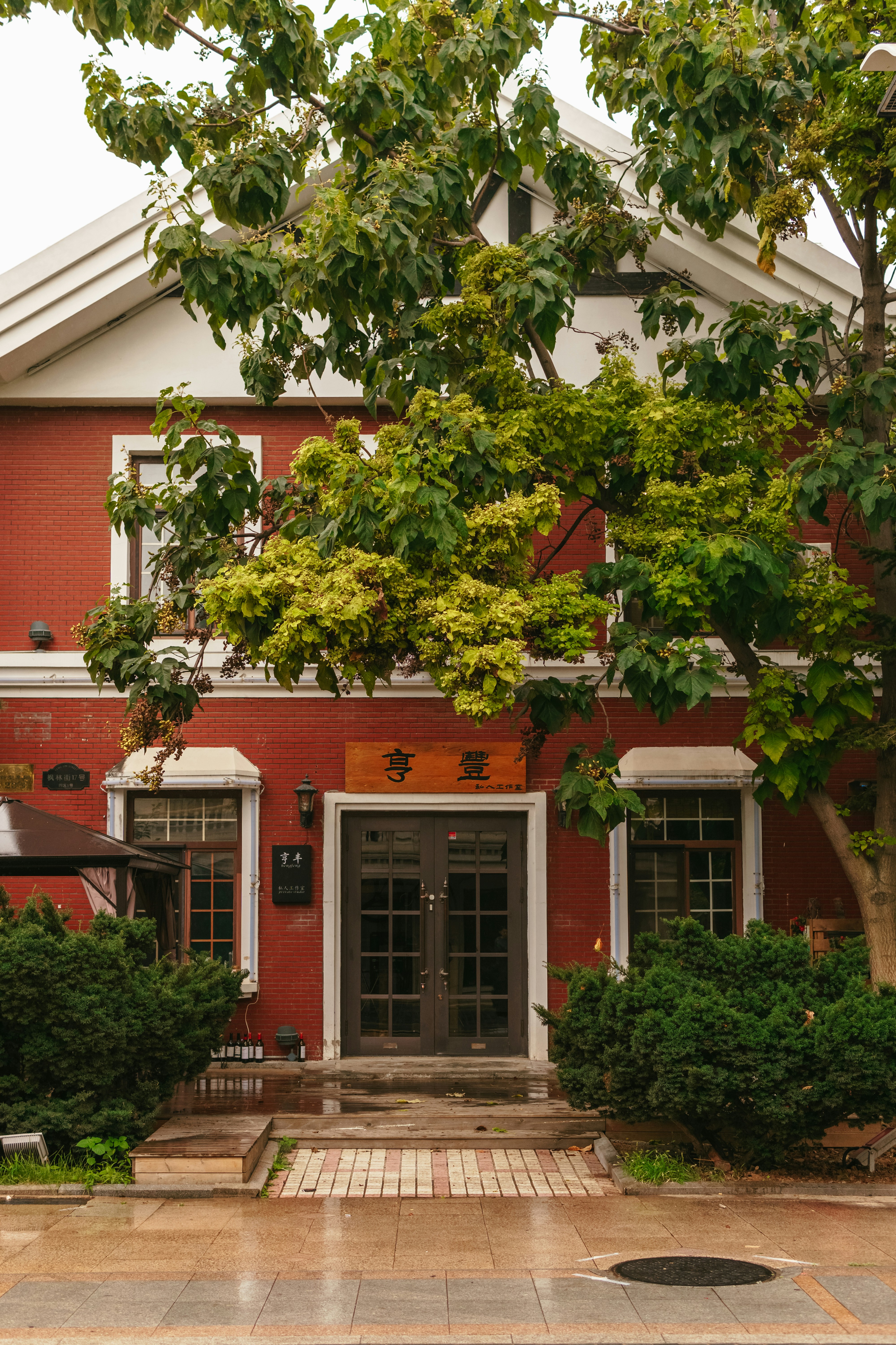 Photo by igorharrier