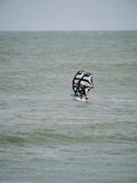 wing foilers racing in the ocean
