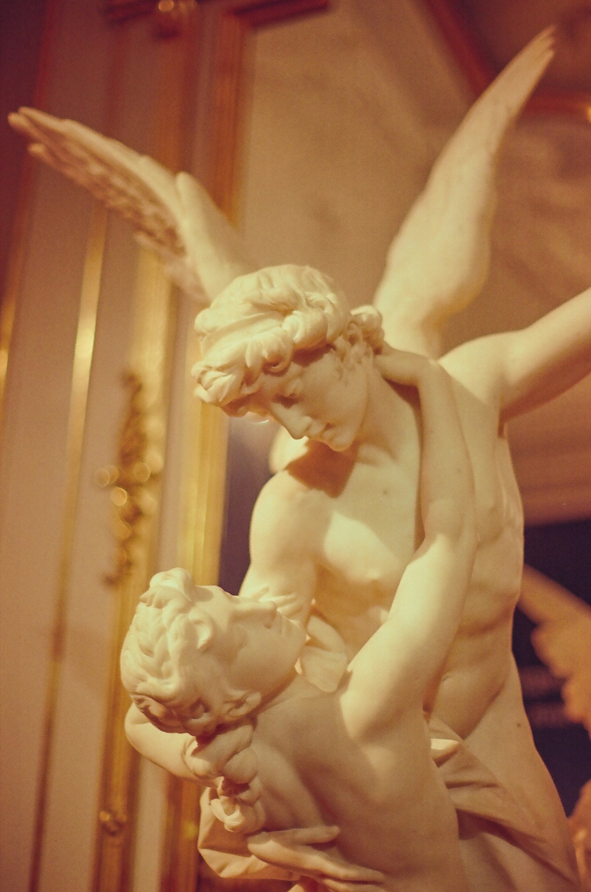 Photo by oscar_scannell