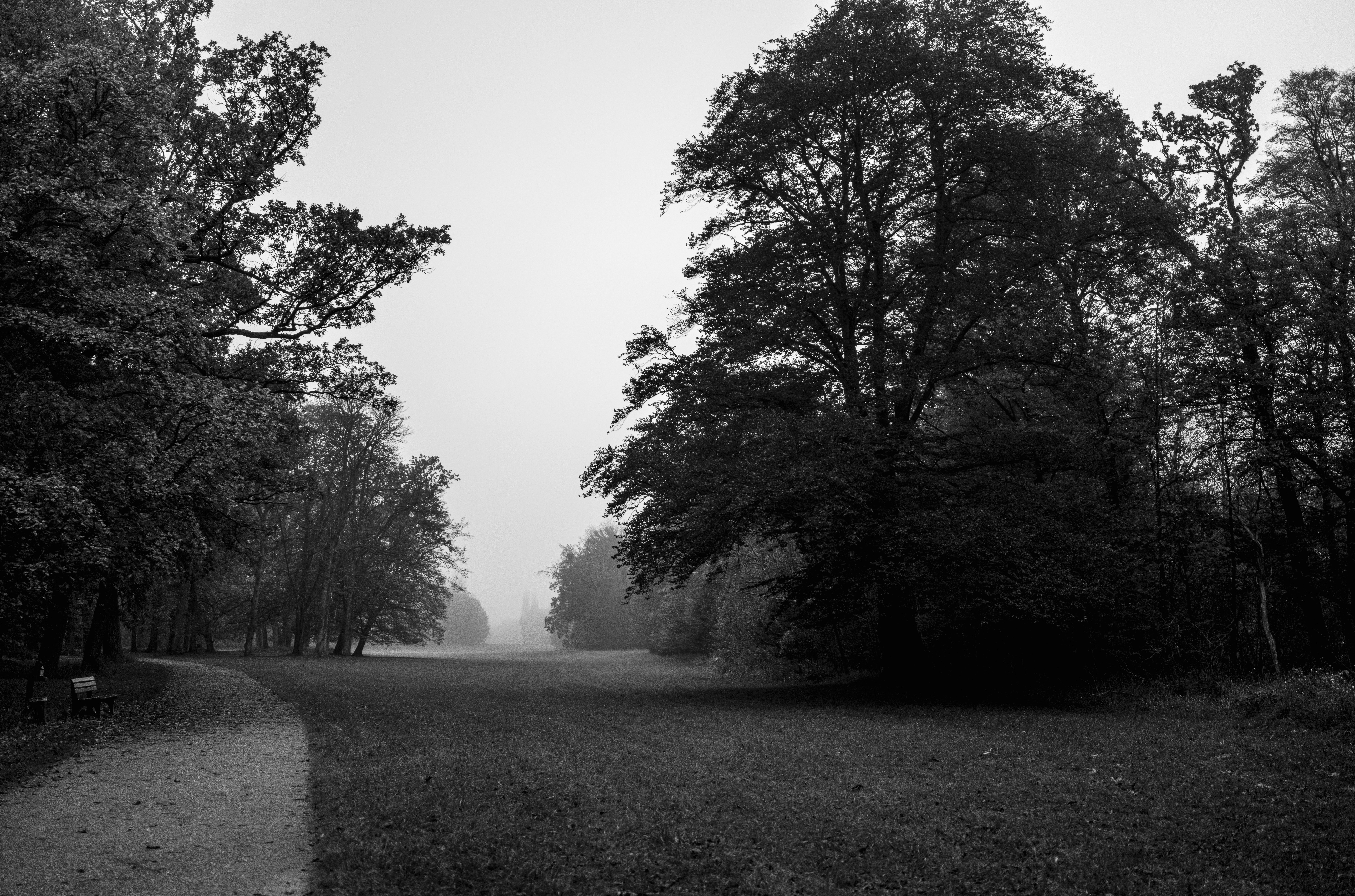 Photo by dieter_muenchen