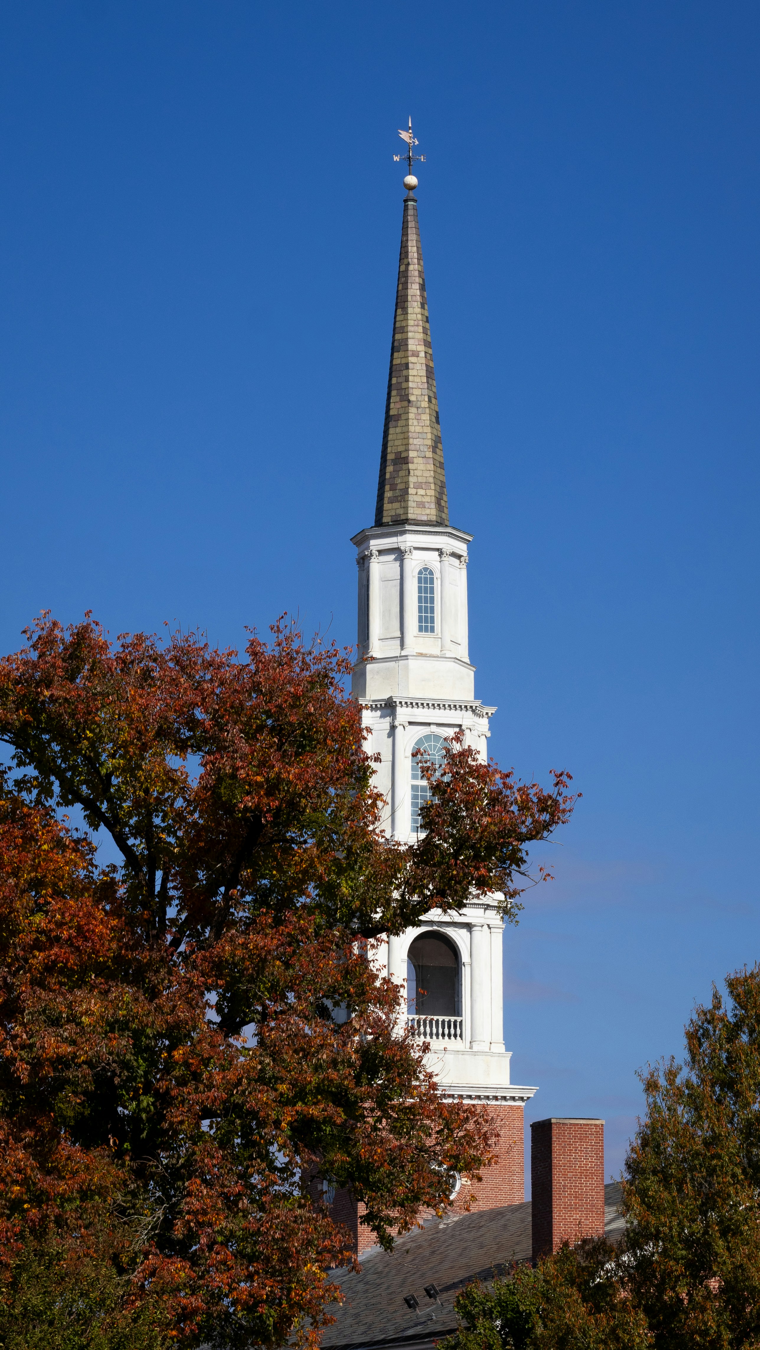 Photo by seraphimchaz