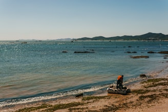A person standing on a beach next to the ocean