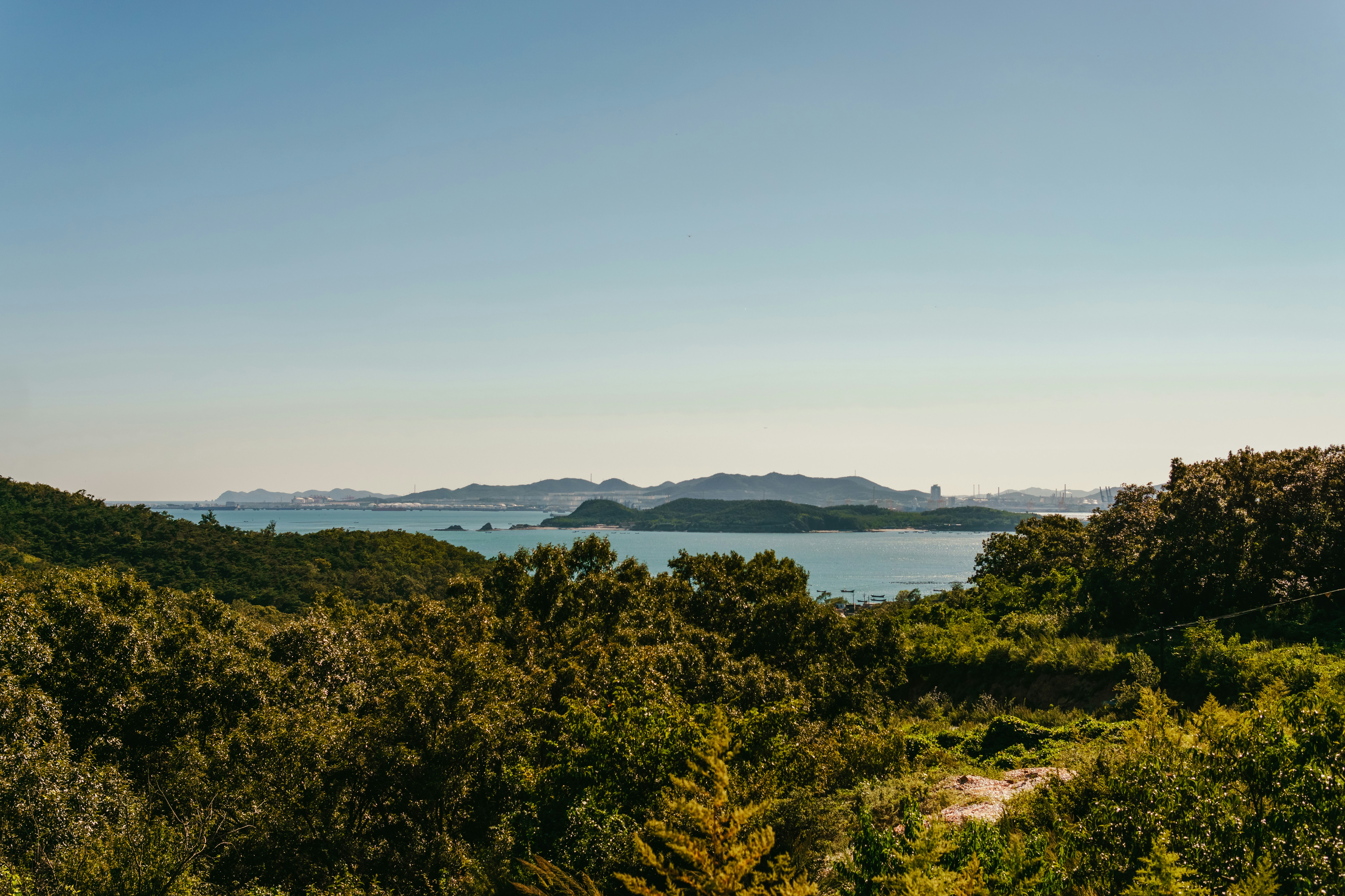 Una vista de un cuerpo de agua desde una colina