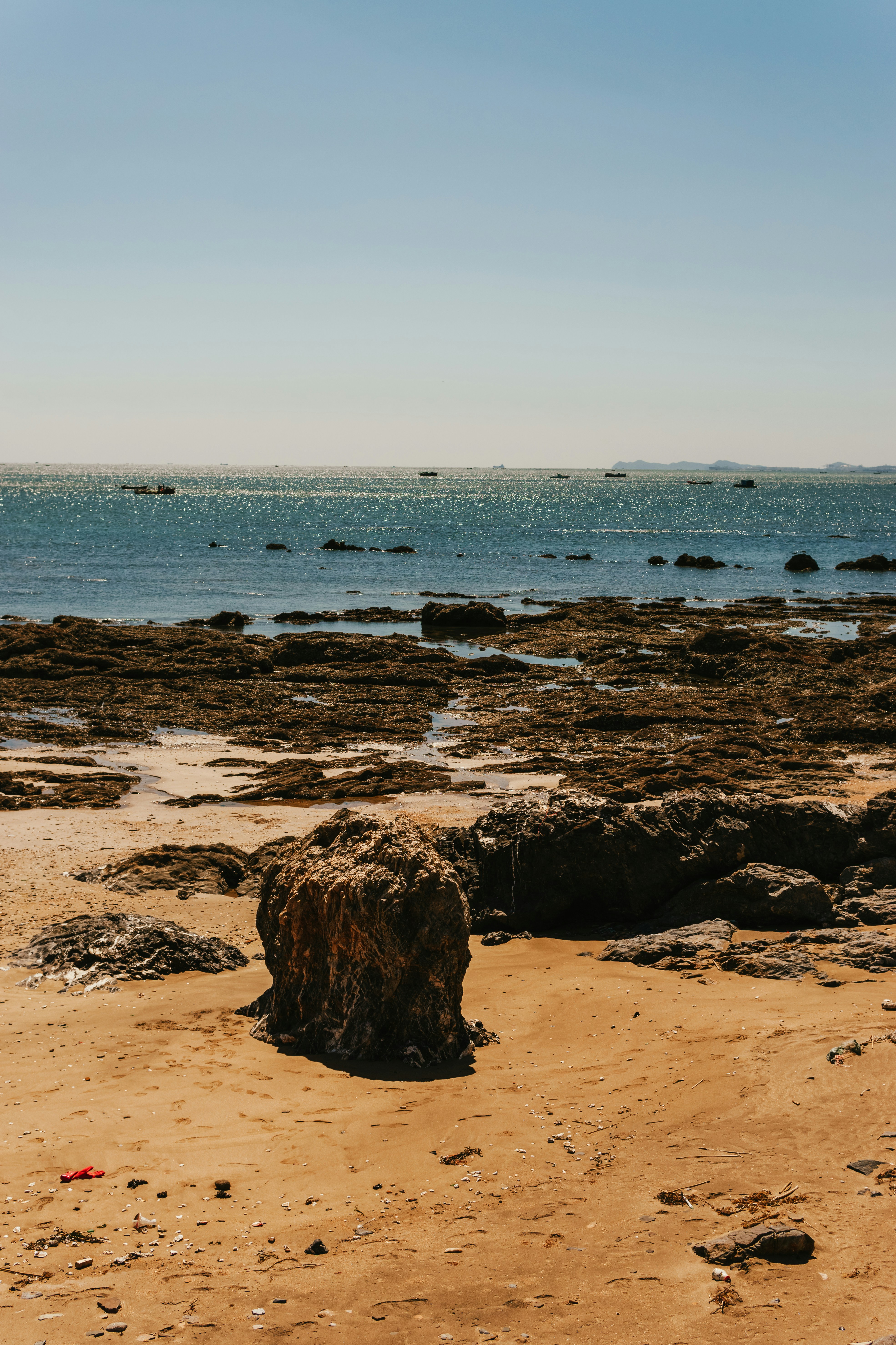 Photo by igorharrier