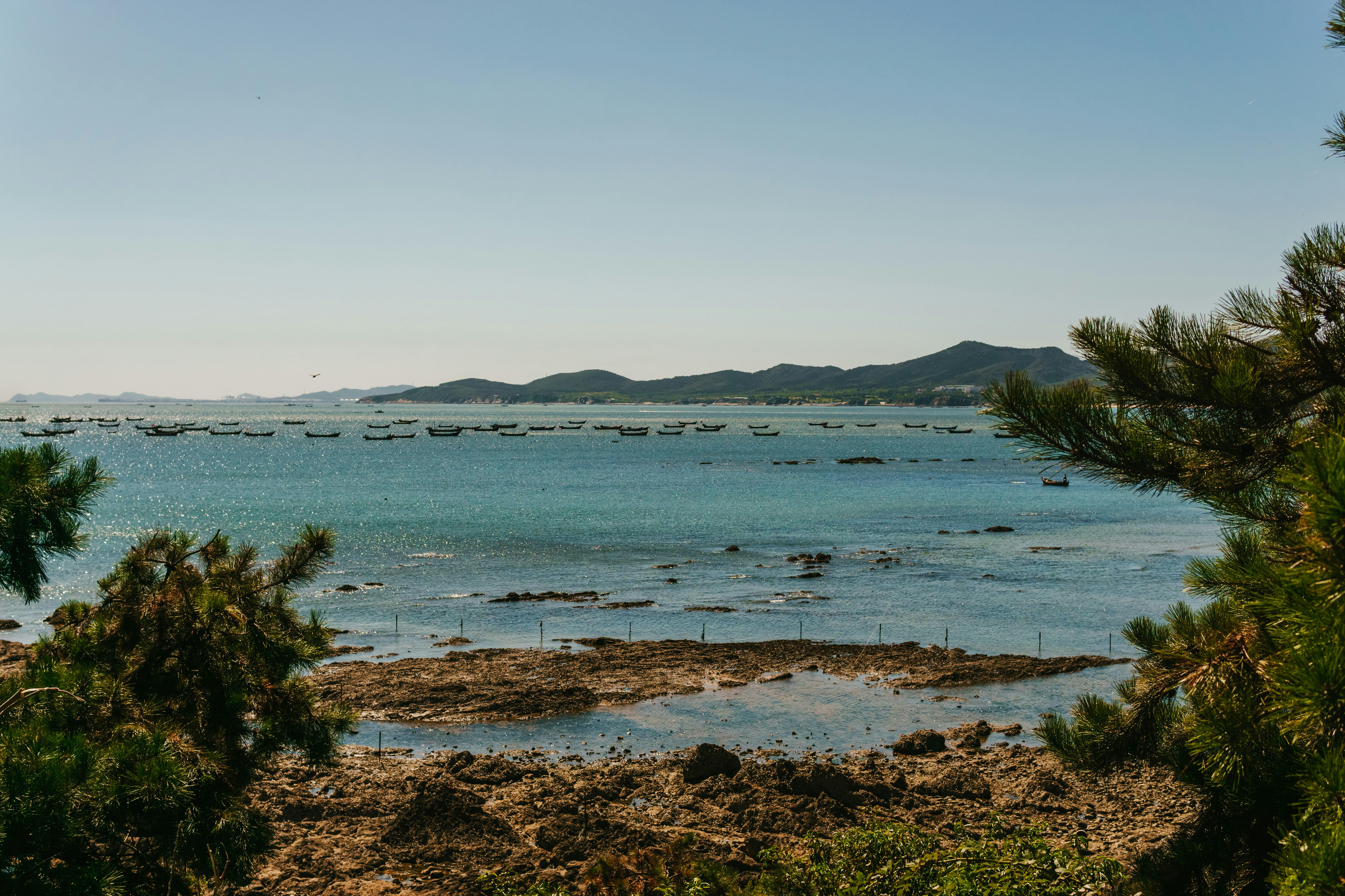 Photo by igorharrier