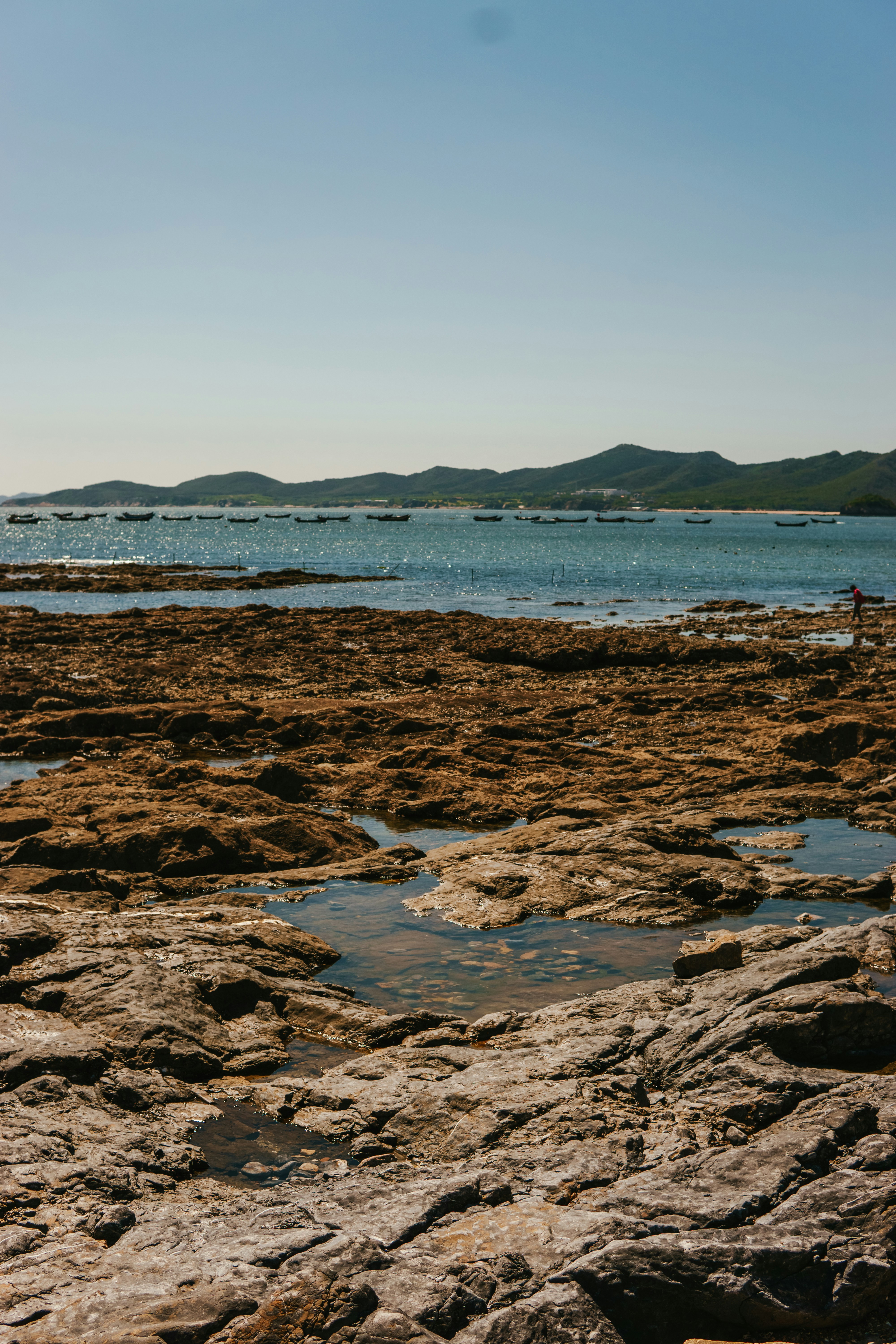 Photo by igorharrier