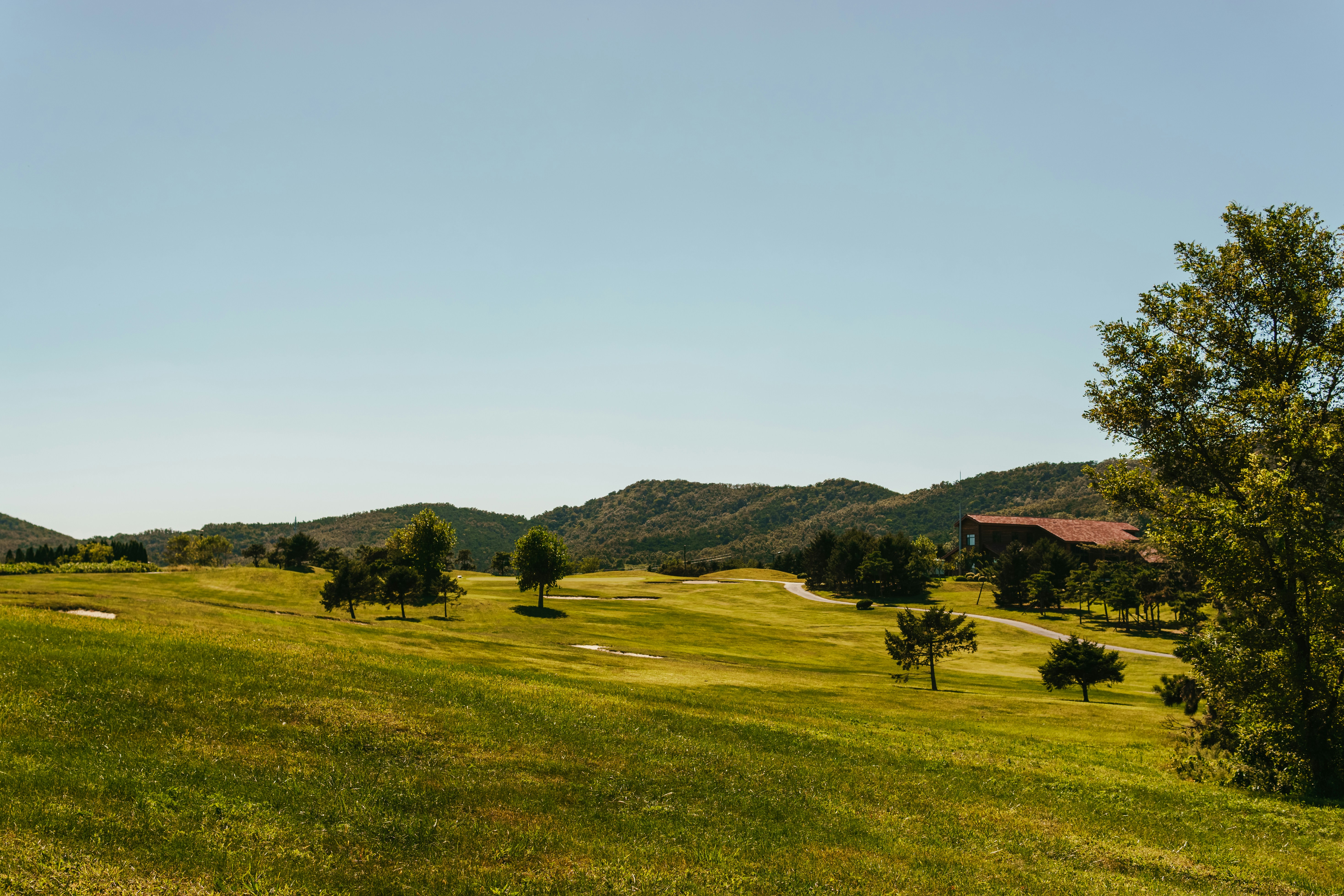 Photo by igorharrier