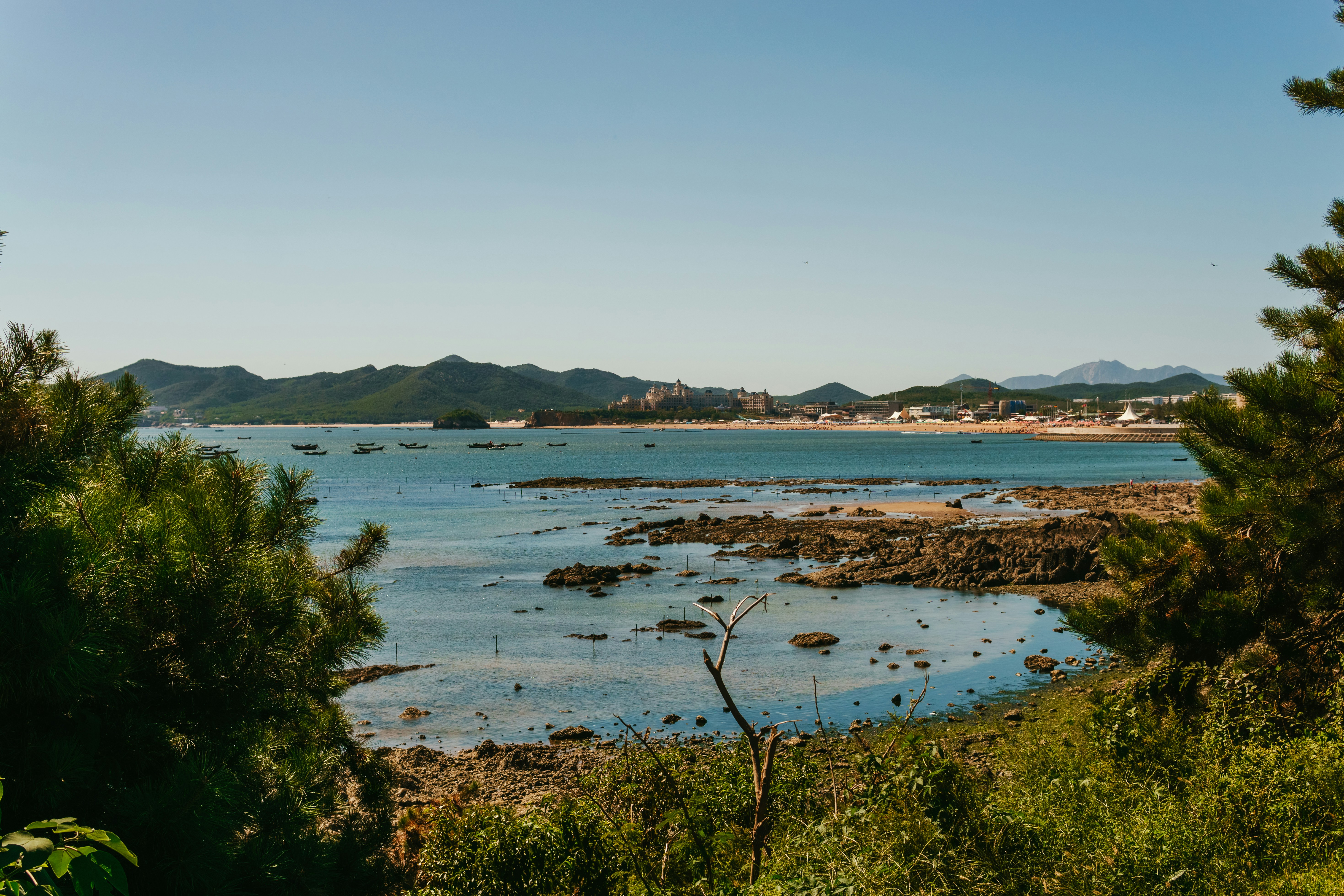 Photo by igorharrier