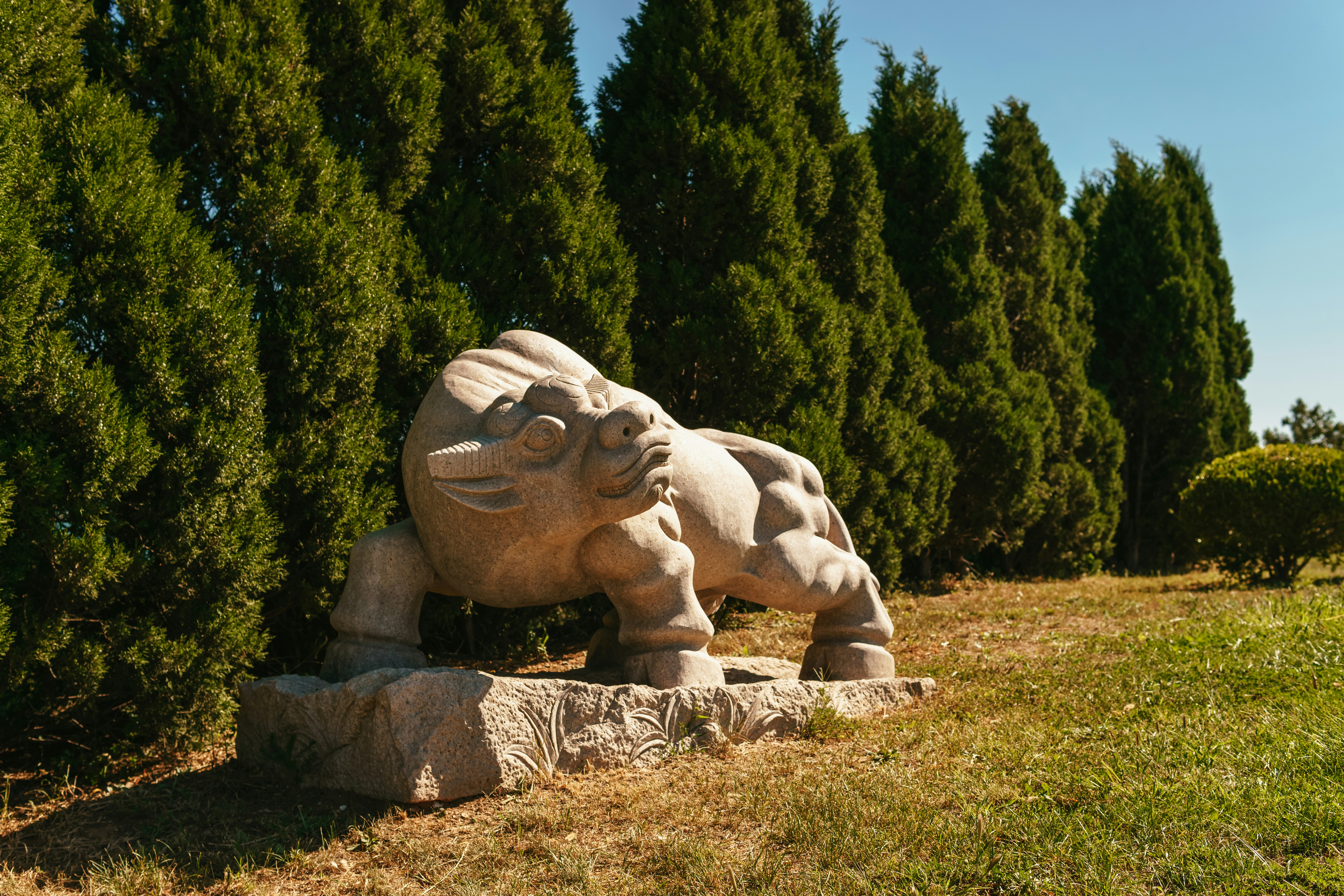 Photo by igorharrier