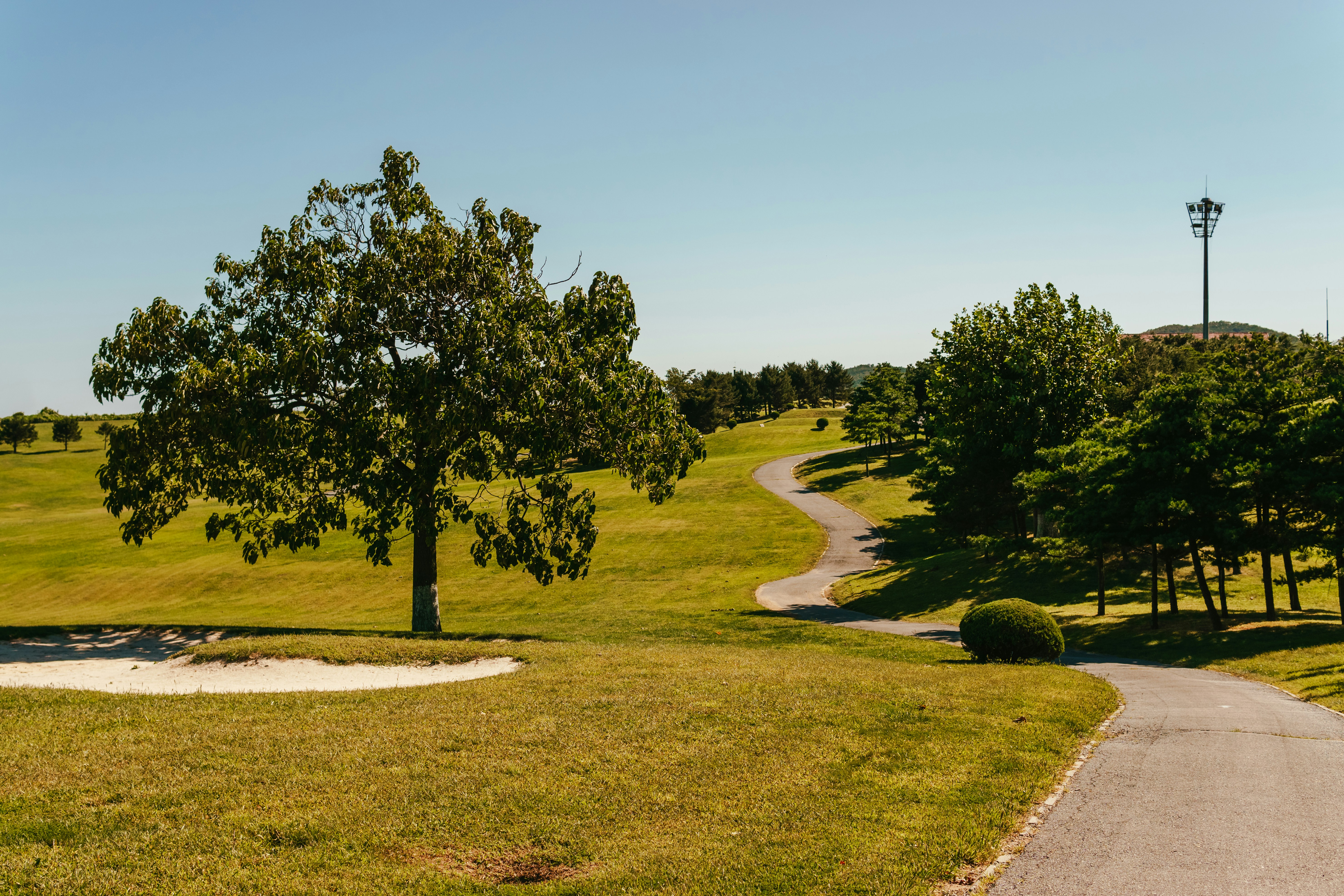 Photo by igorharrier