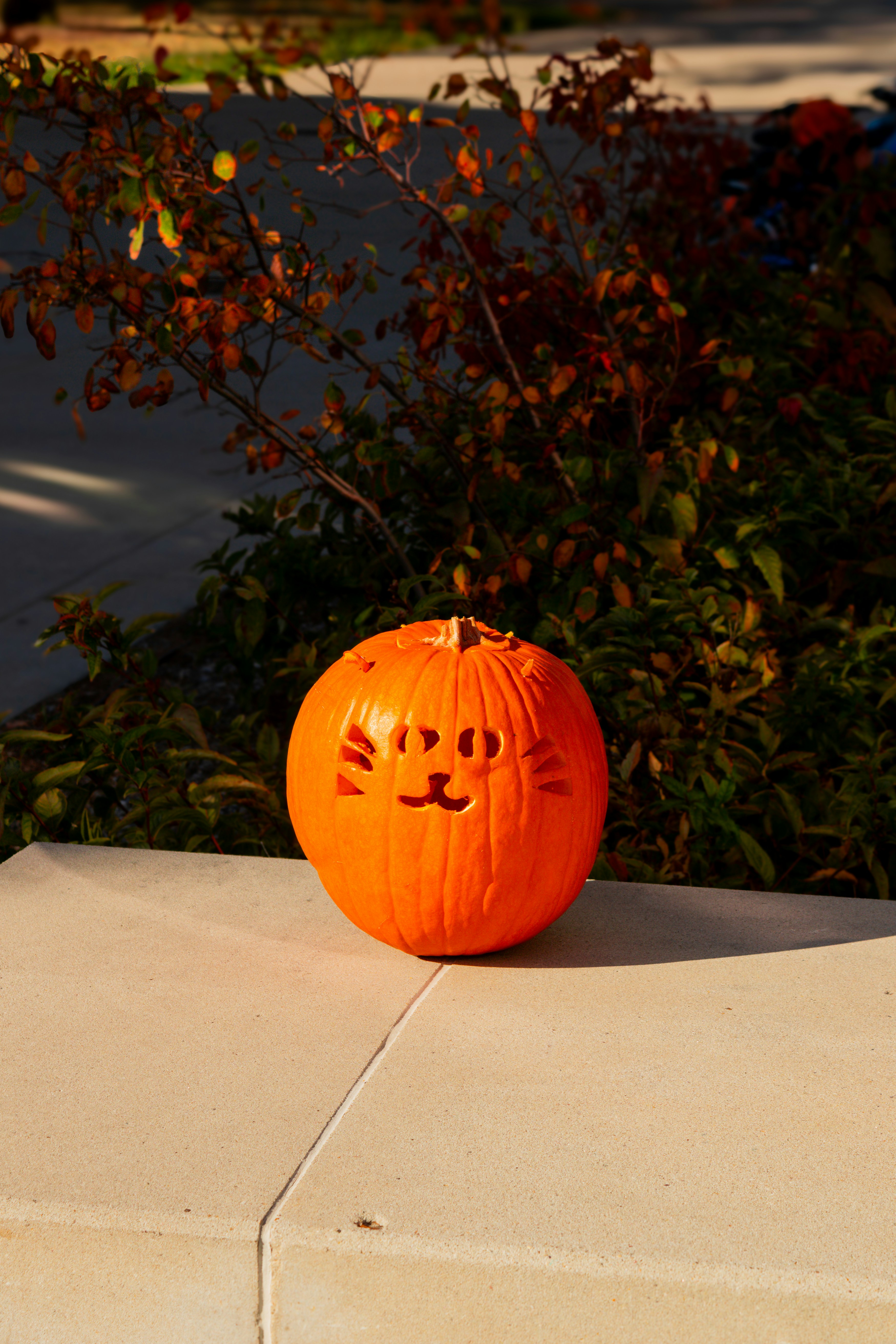 A pumpkin with a face carved into it