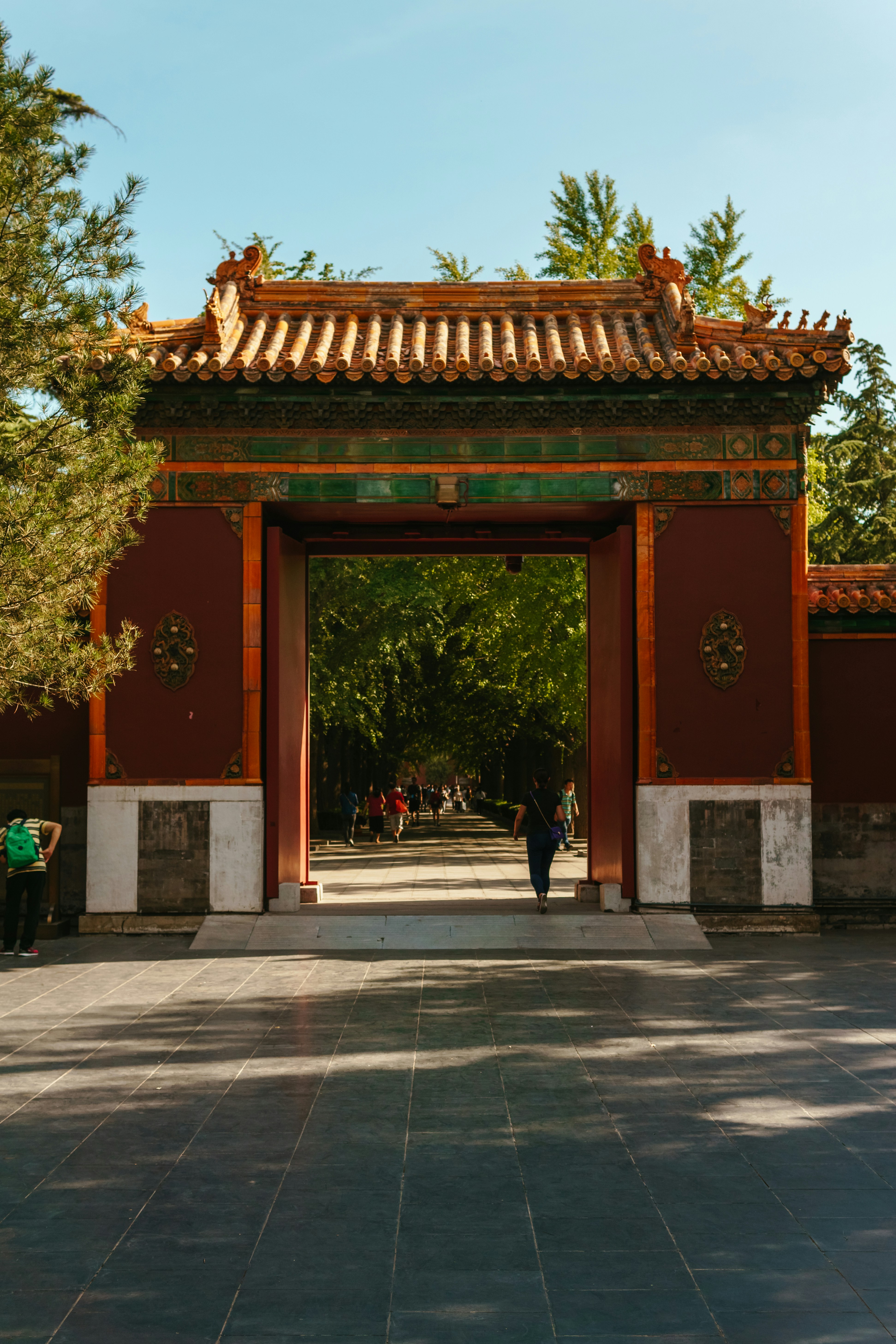 Photo by igorharrier