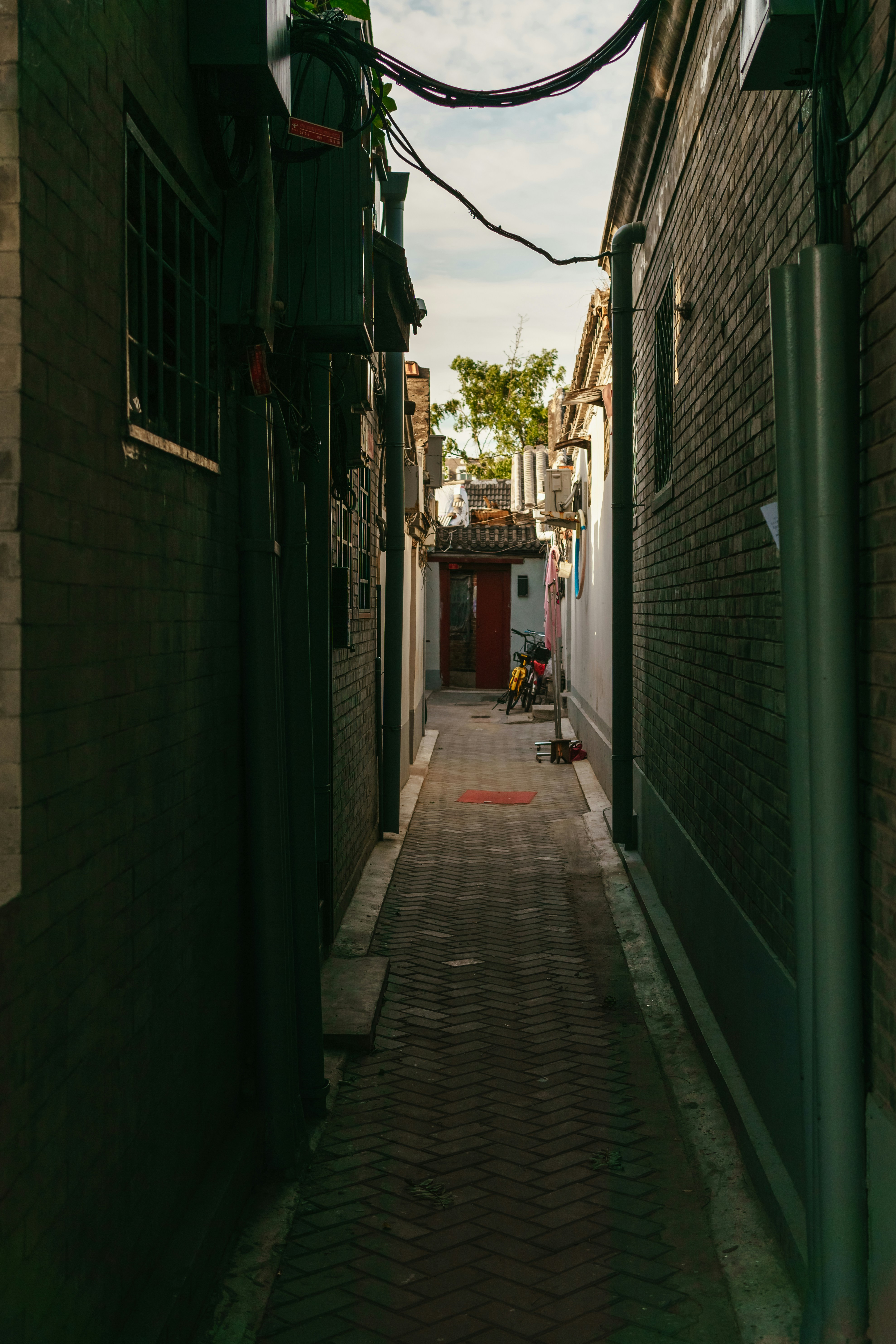 Photo by igorharrier