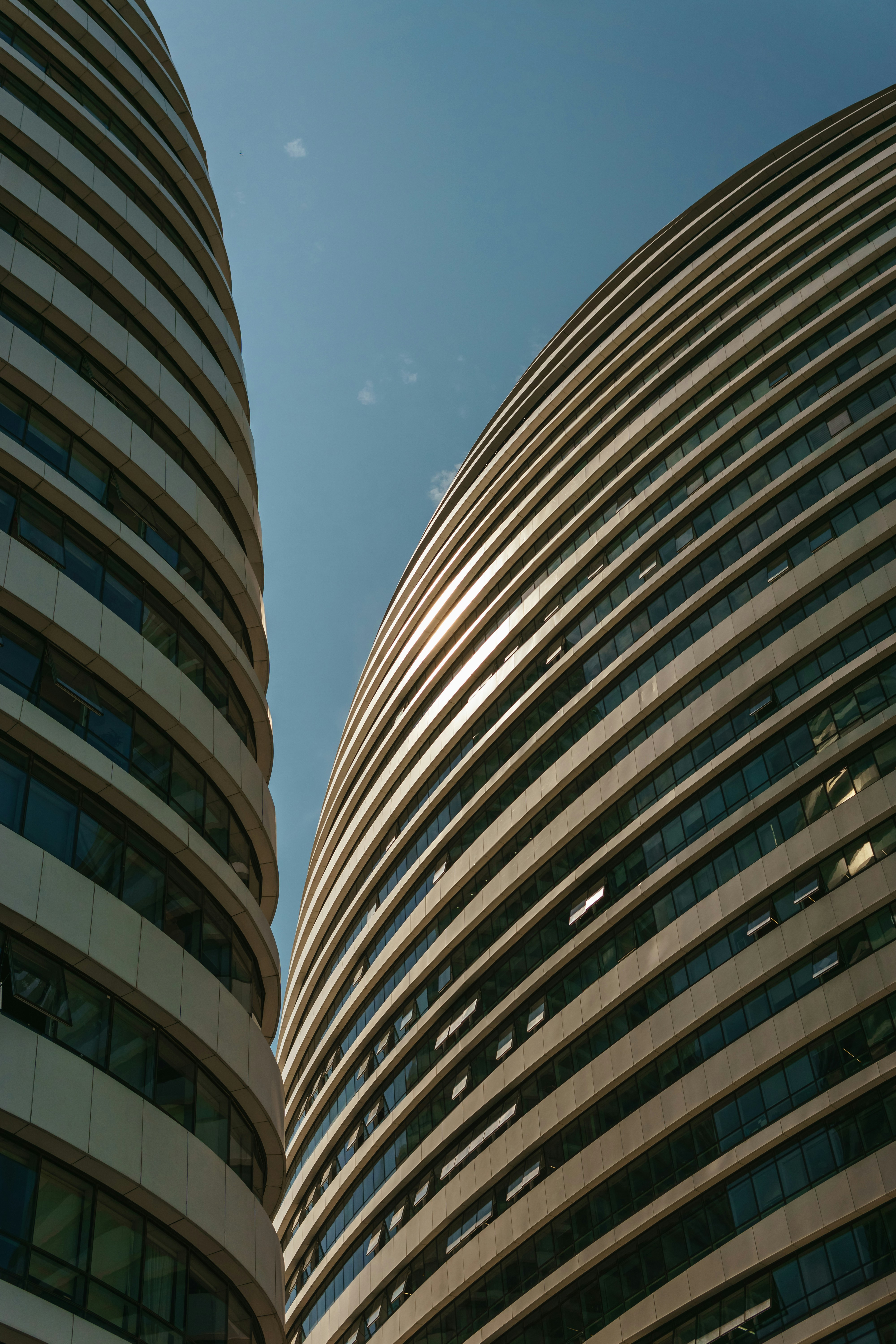 Photo by igorharrier