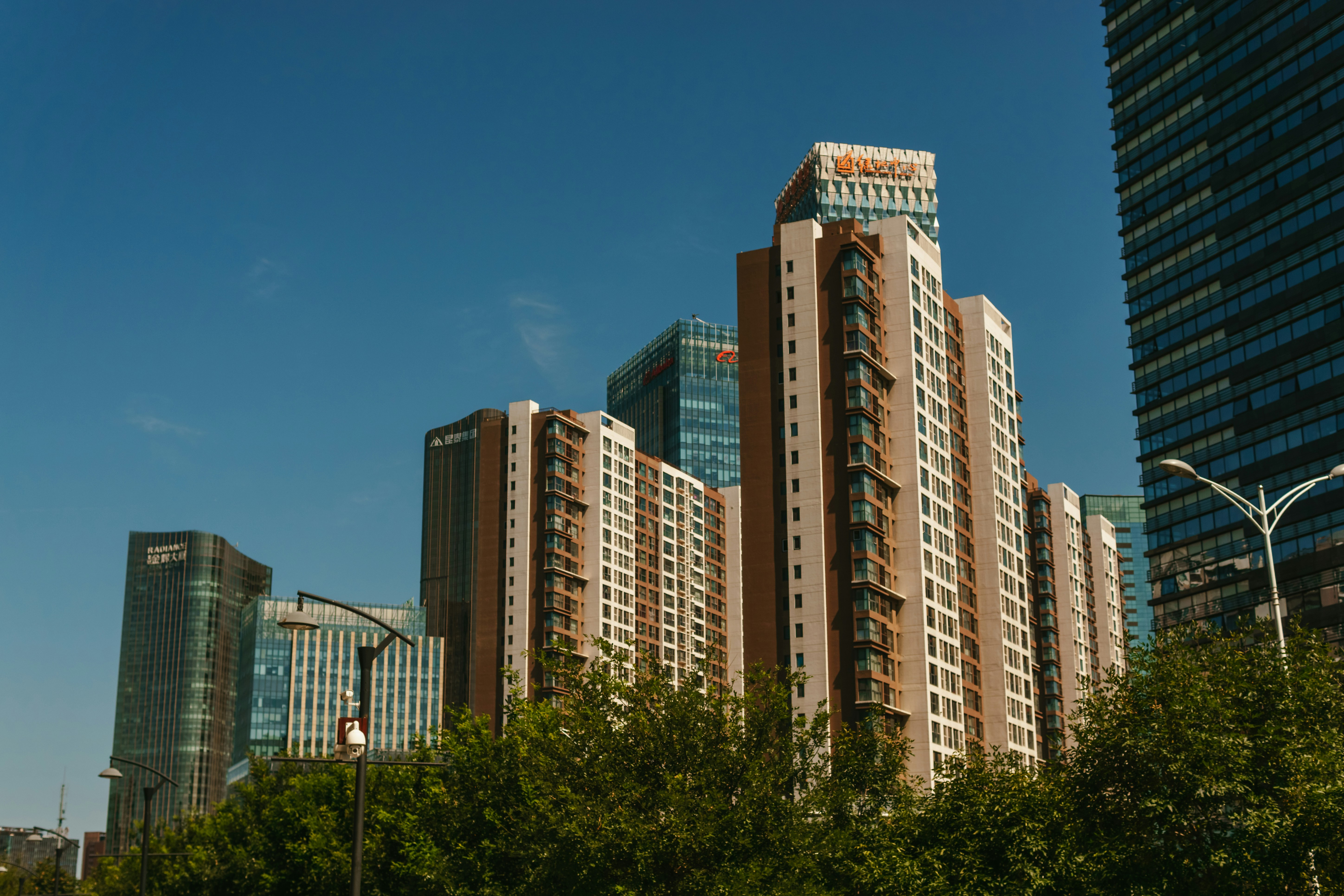 Photo by igorharrier