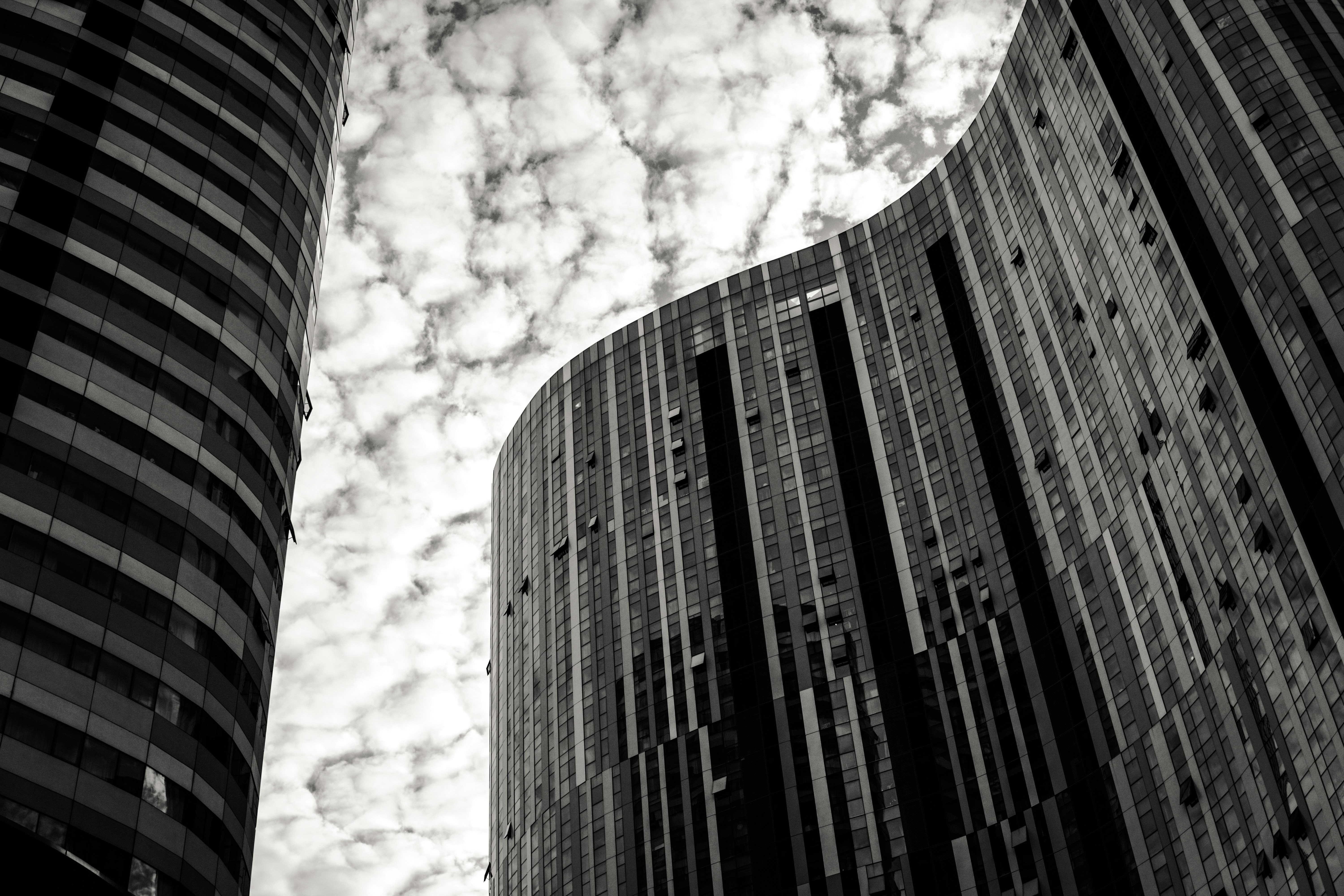 Photo by igorharrier