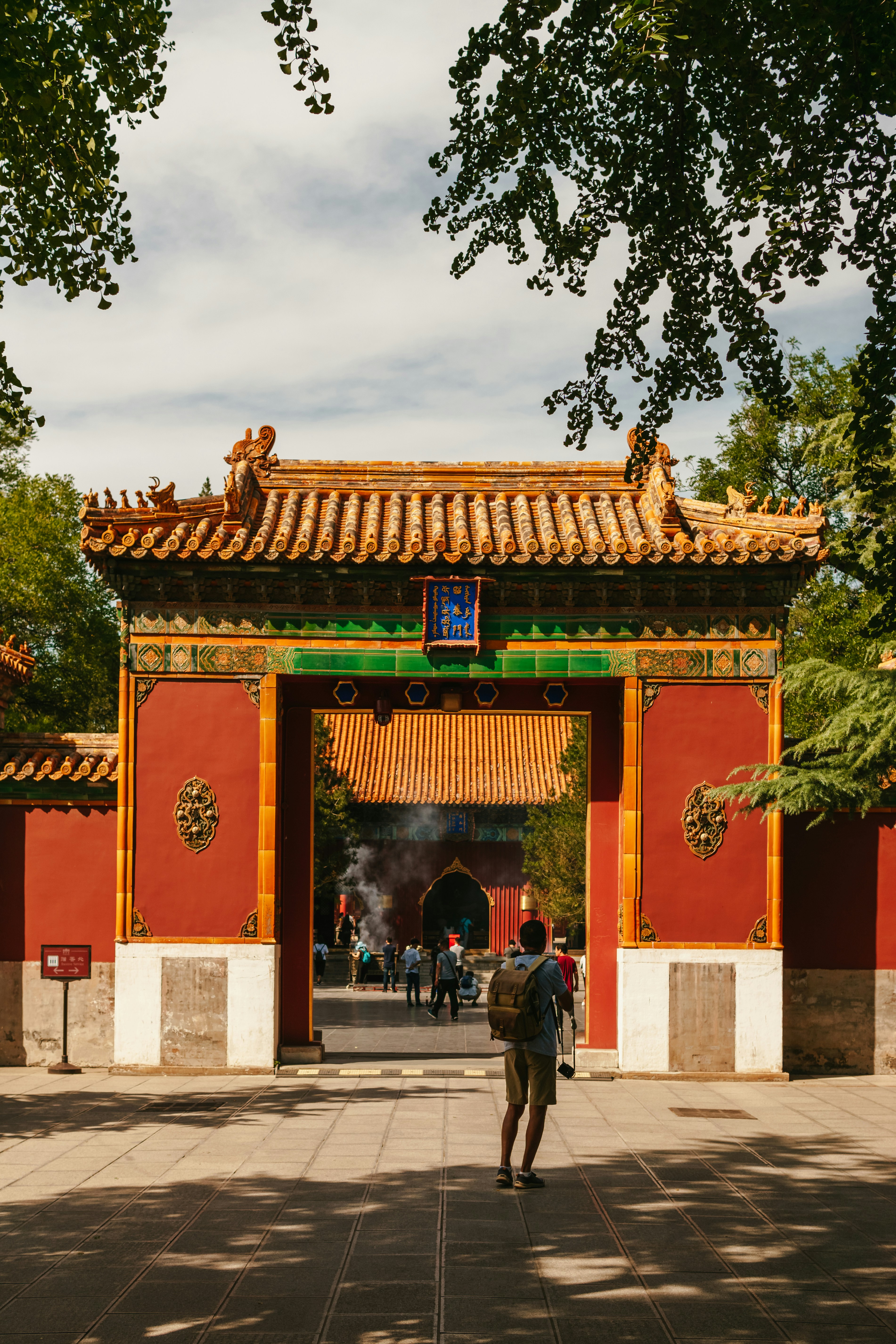 Photo by igorharrier