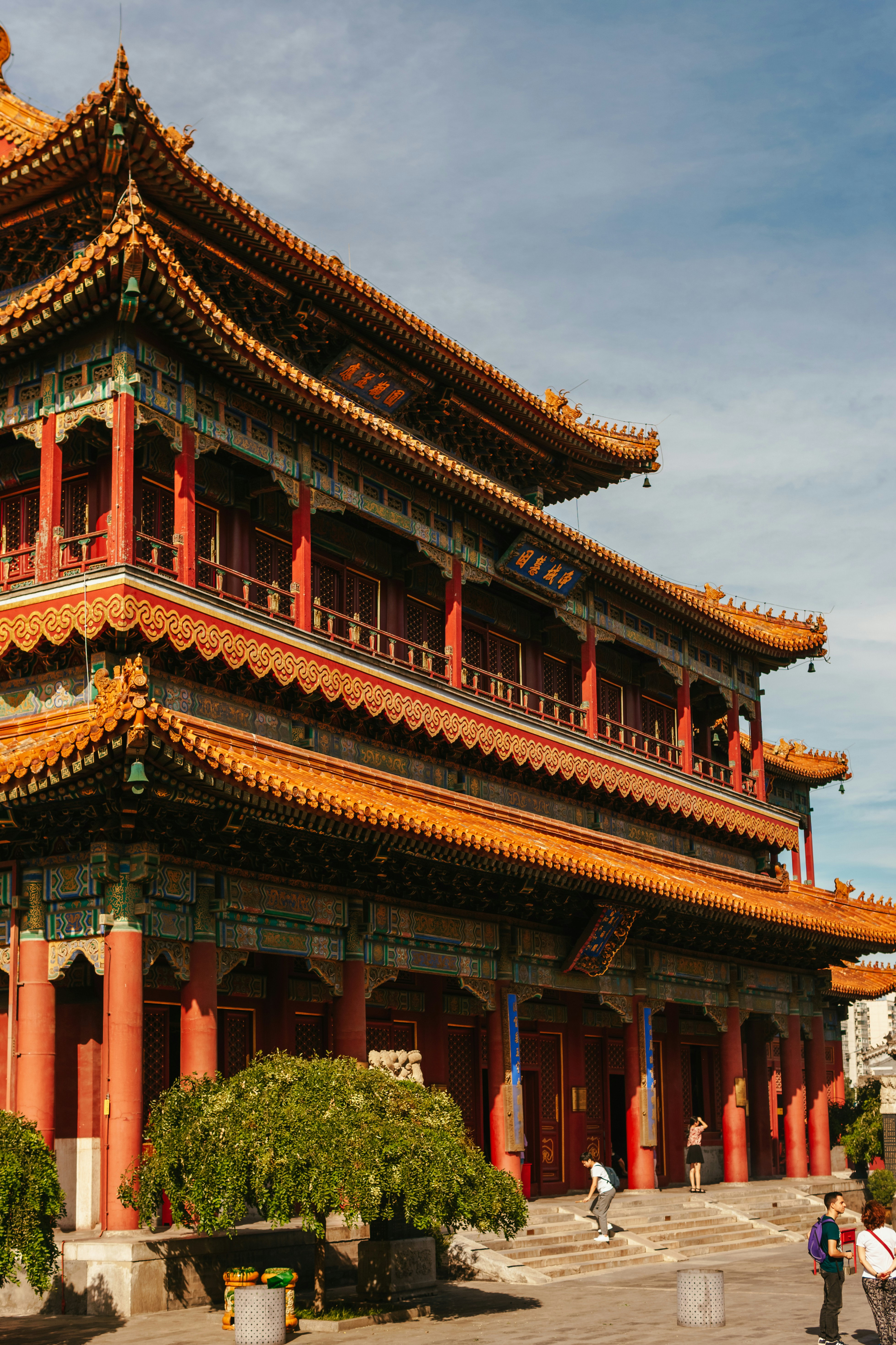 Photo by igorharrier