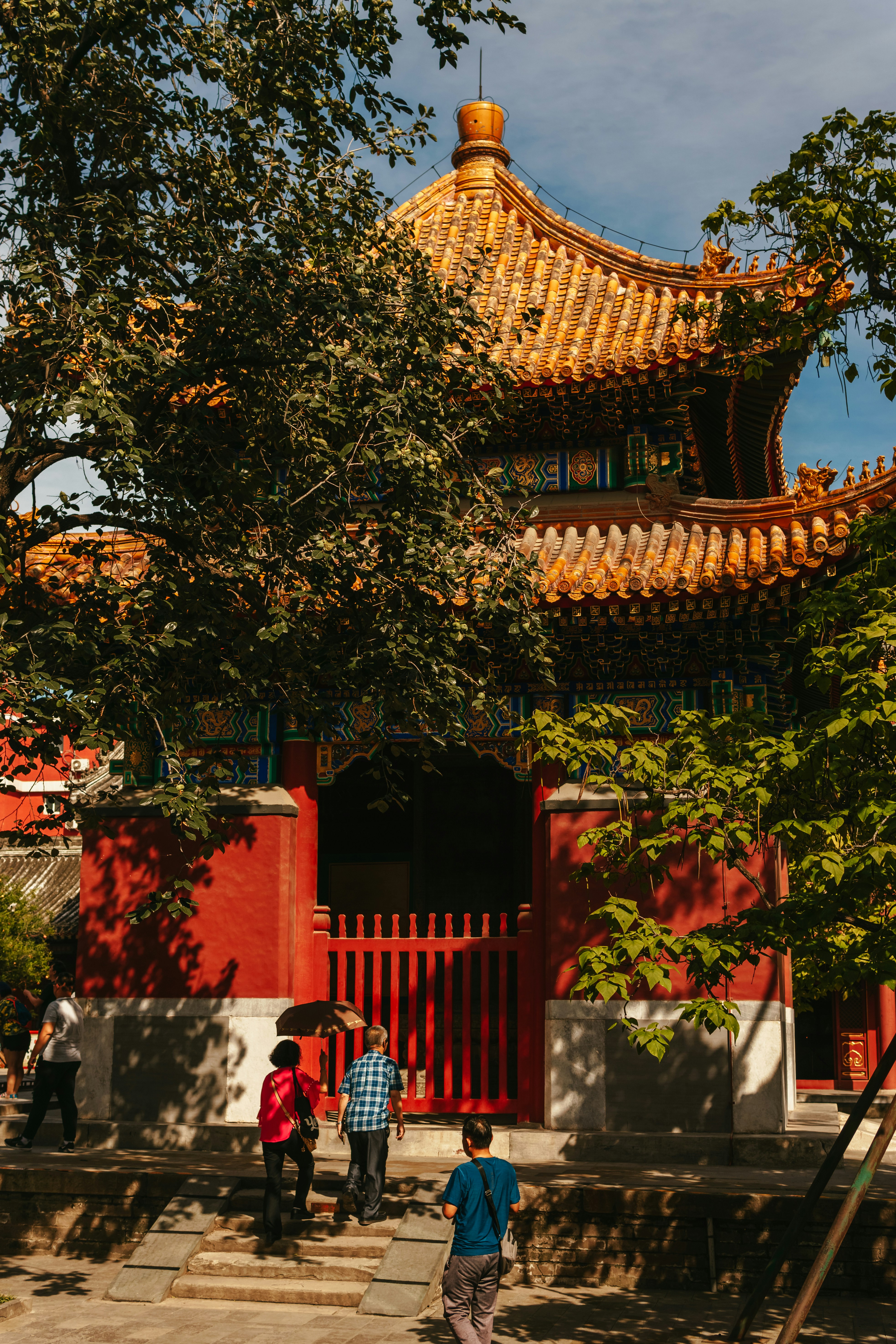 Photo by igorharrier