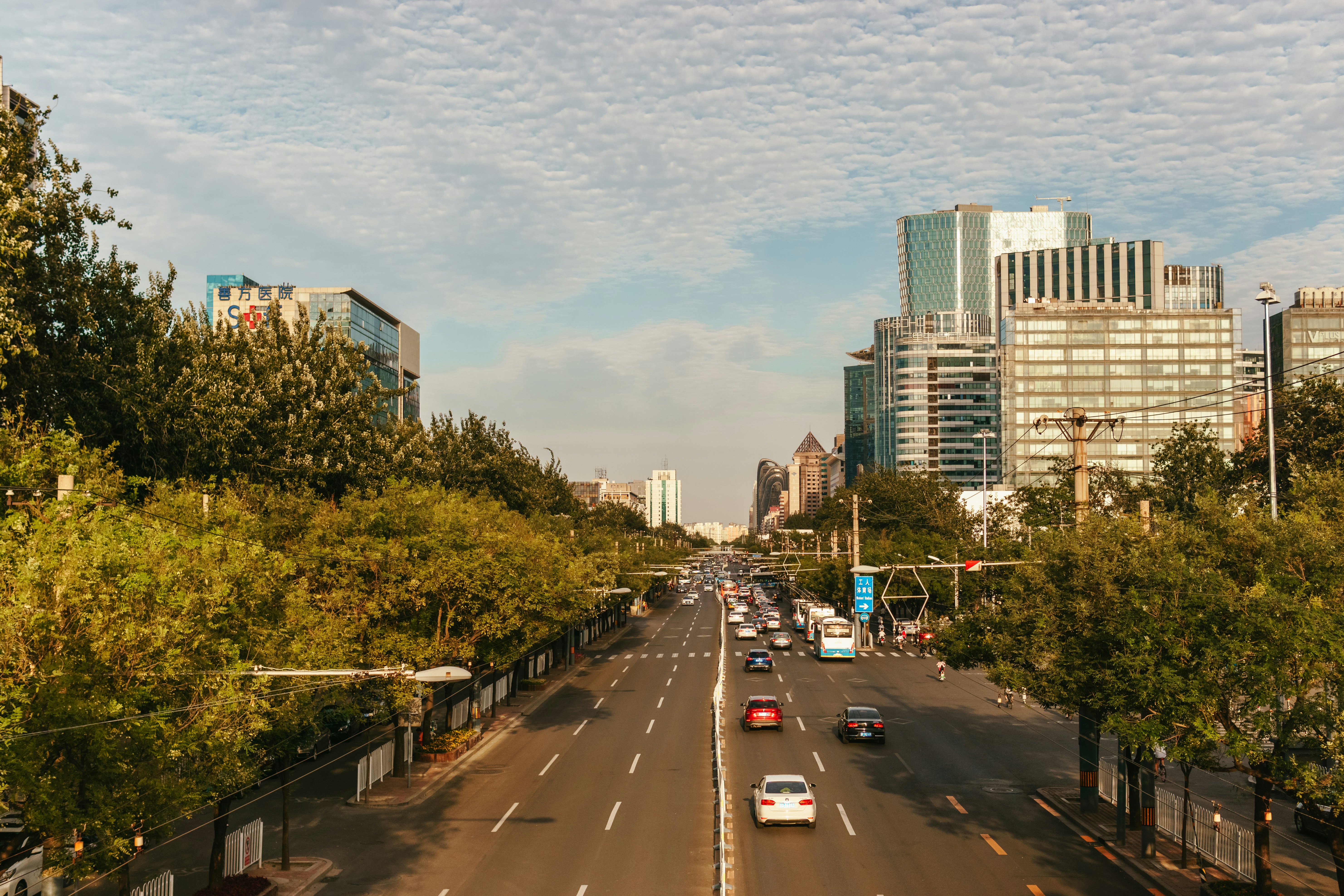 Photo by igorharrier